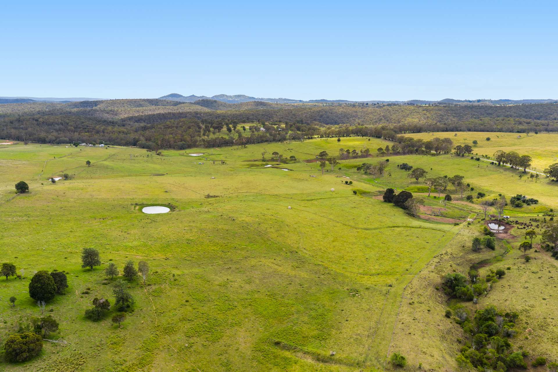 138 Djuan Road, Crows Nest Sold by Farmbuy.com - image 6