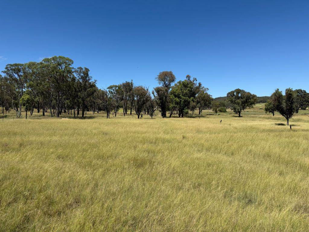 Lot 4 / 132 Eukey Road, Stanthorpe For Sale by Farmbuy.com - image 6