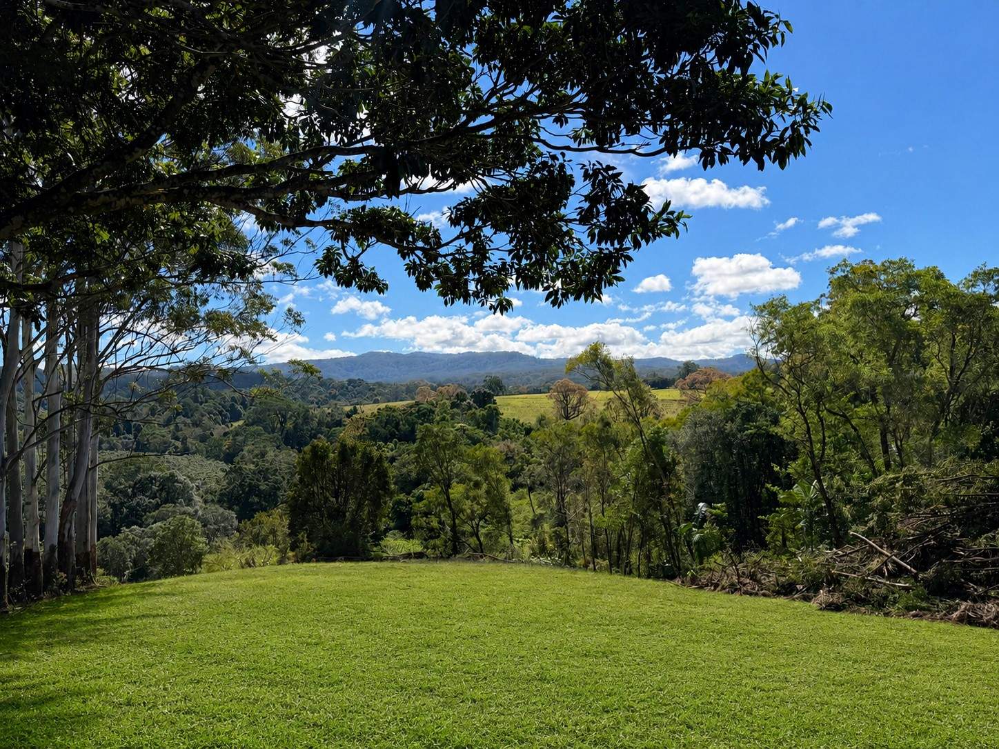 99 Rocky Creek Dam Road, Dunoon For Sale by Farmbuy.com - image 5