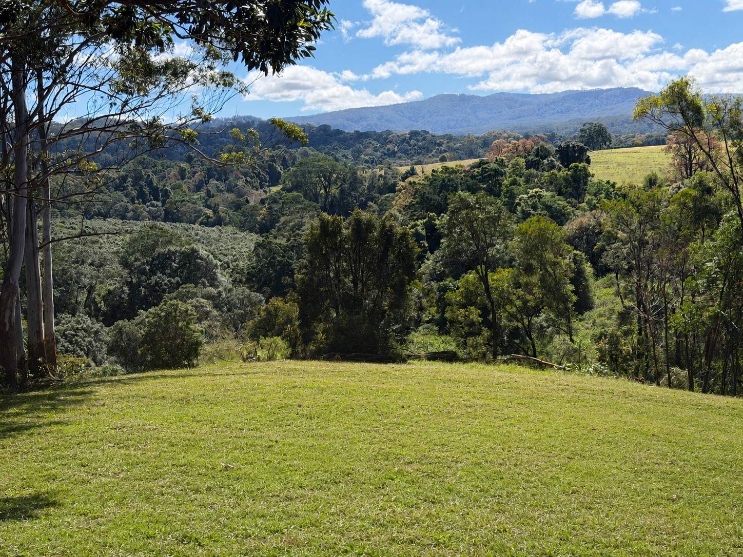 99 Rocky Creek Dam Road, Dunoon For Sale by Farmbuy.com - image 21