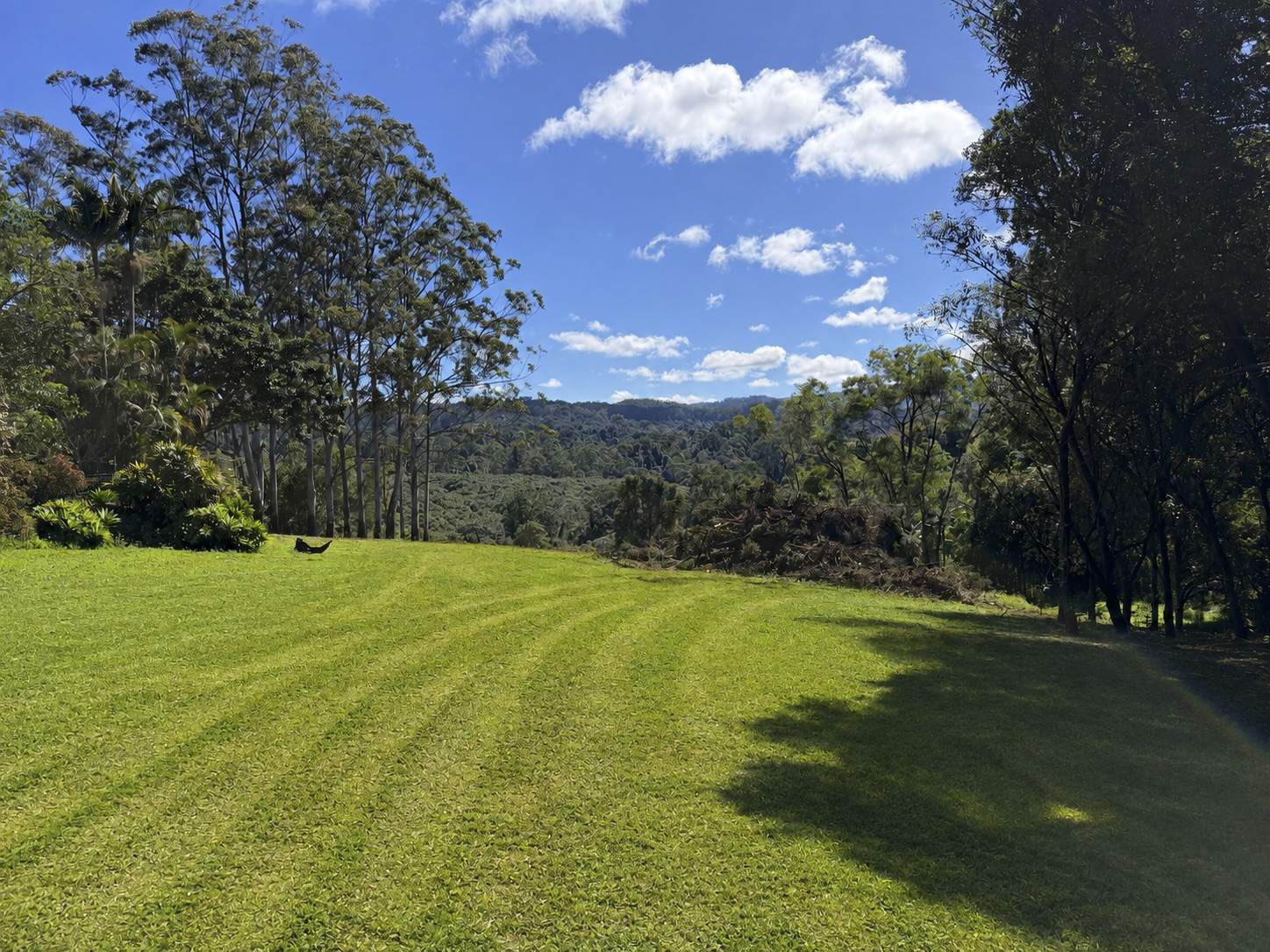 99 Rocky Creek Dam Road, Dunoon For Sale by Farmbuy.com - image 10