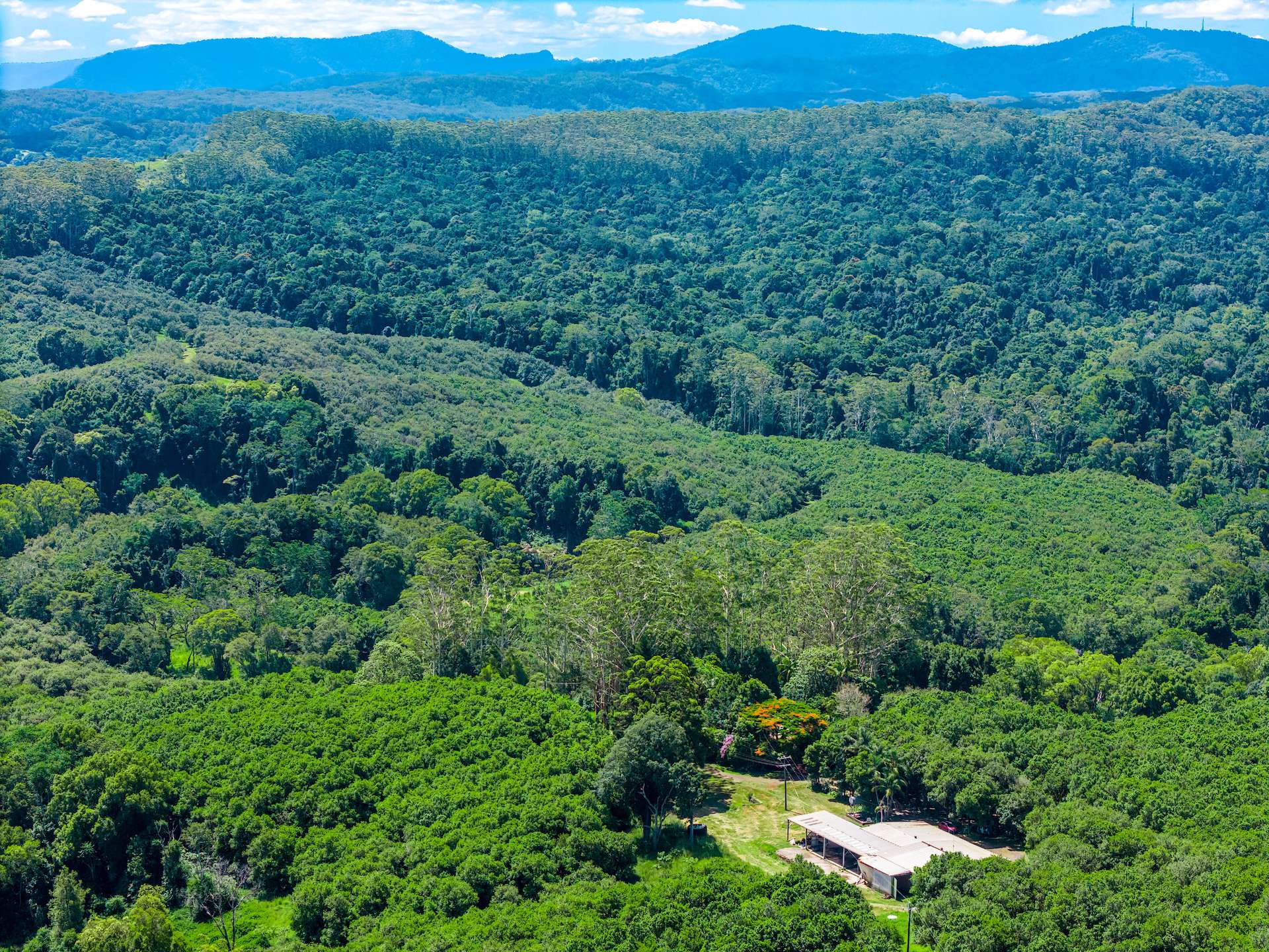 99 Rocky Creek Dam Road, Dunoon For Sale by Farmbuy.com - image 19
