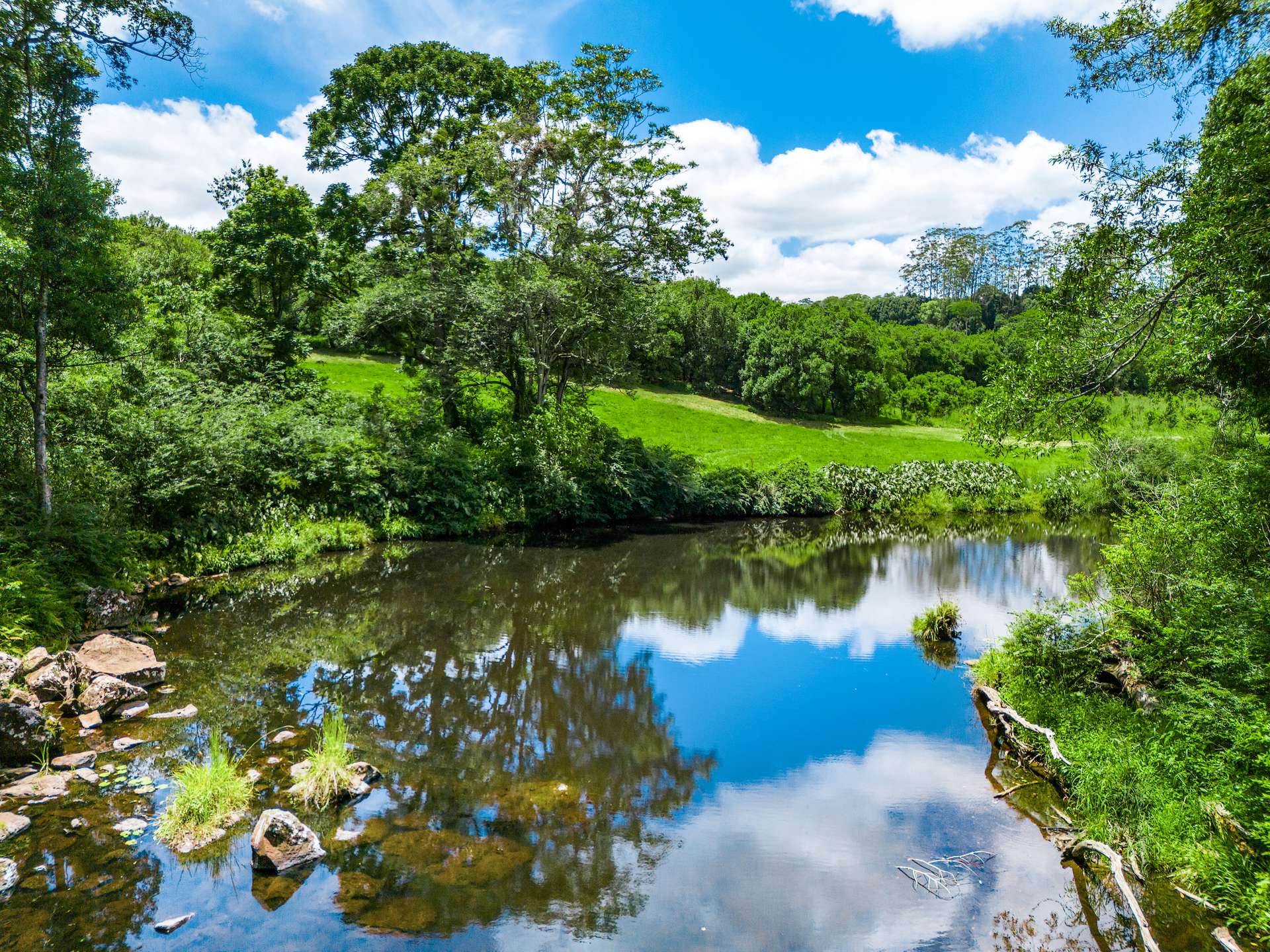 99 Rocky Creek Dam Road, Dunoon For Sale by Farmbuy.com - image 3