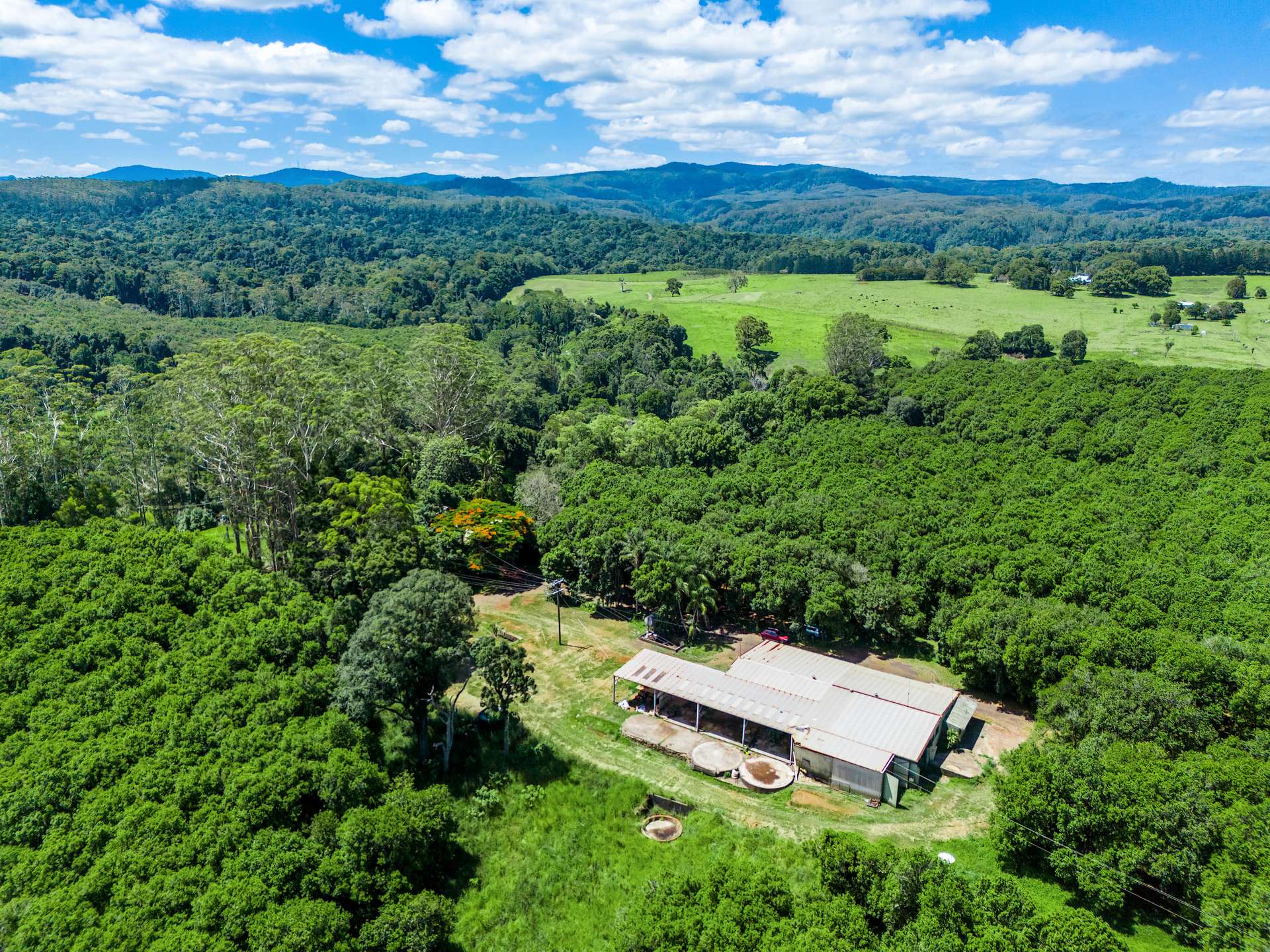 99 Rocky Creek Dam Road, Dunoon For Sale by Farmbuy.com - image 9