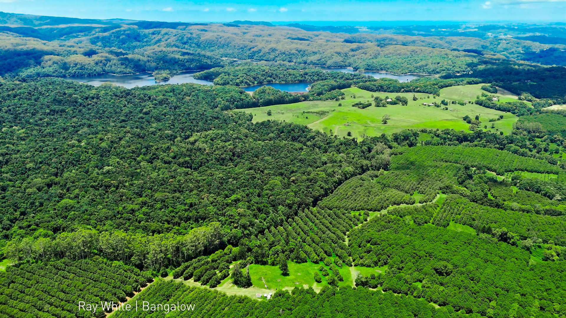 99 Rocky Creek Dam Road, Dunoon For Sale by Farmbuy.com - image 6