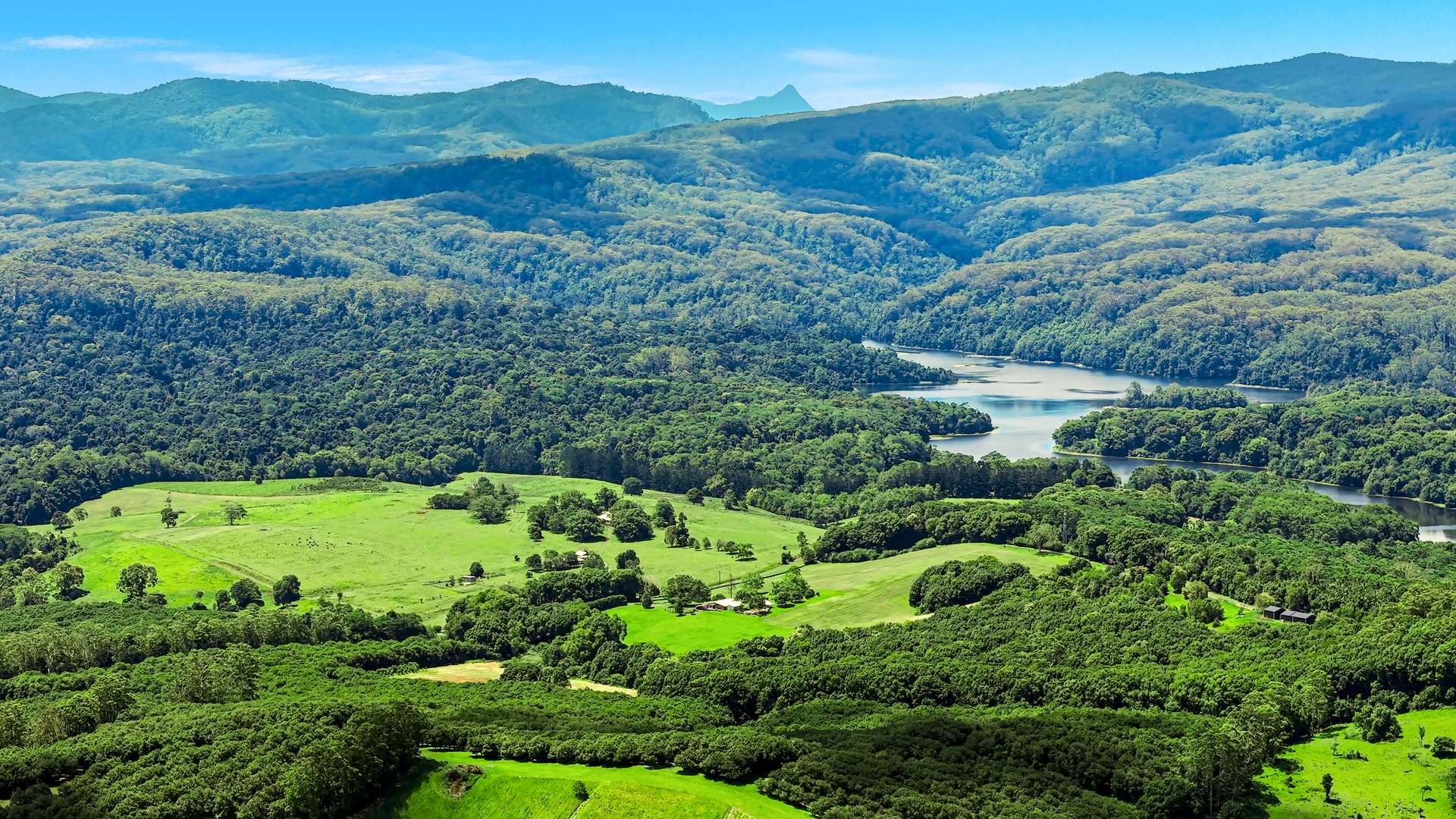 99 Rocky Creek Dam Road, Dunoon For Sale by Farmbuy.com - image 2