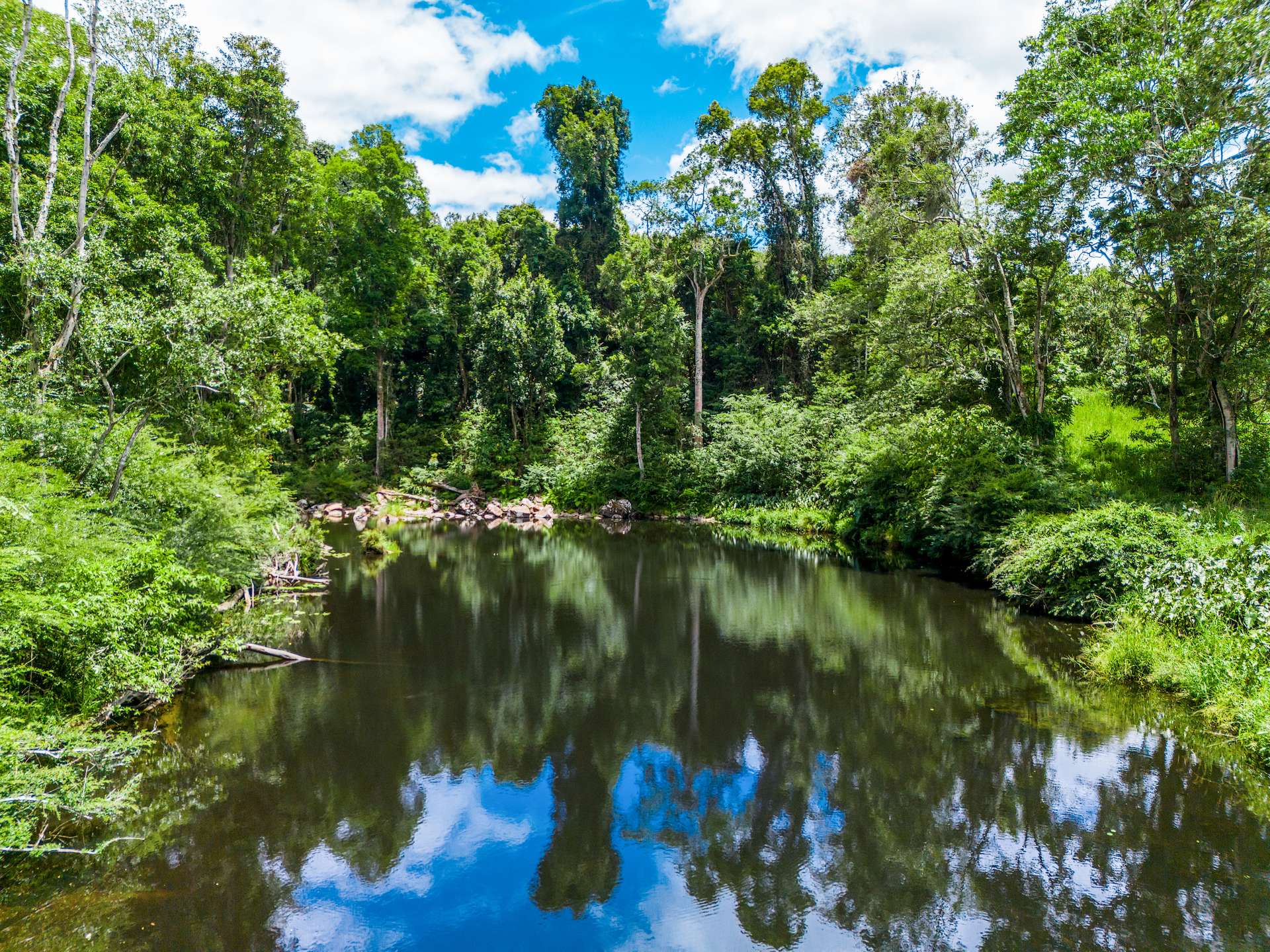 99 Rocky Creek Dam Road, Dunoon For Sale by Farmbuy.com - image 4