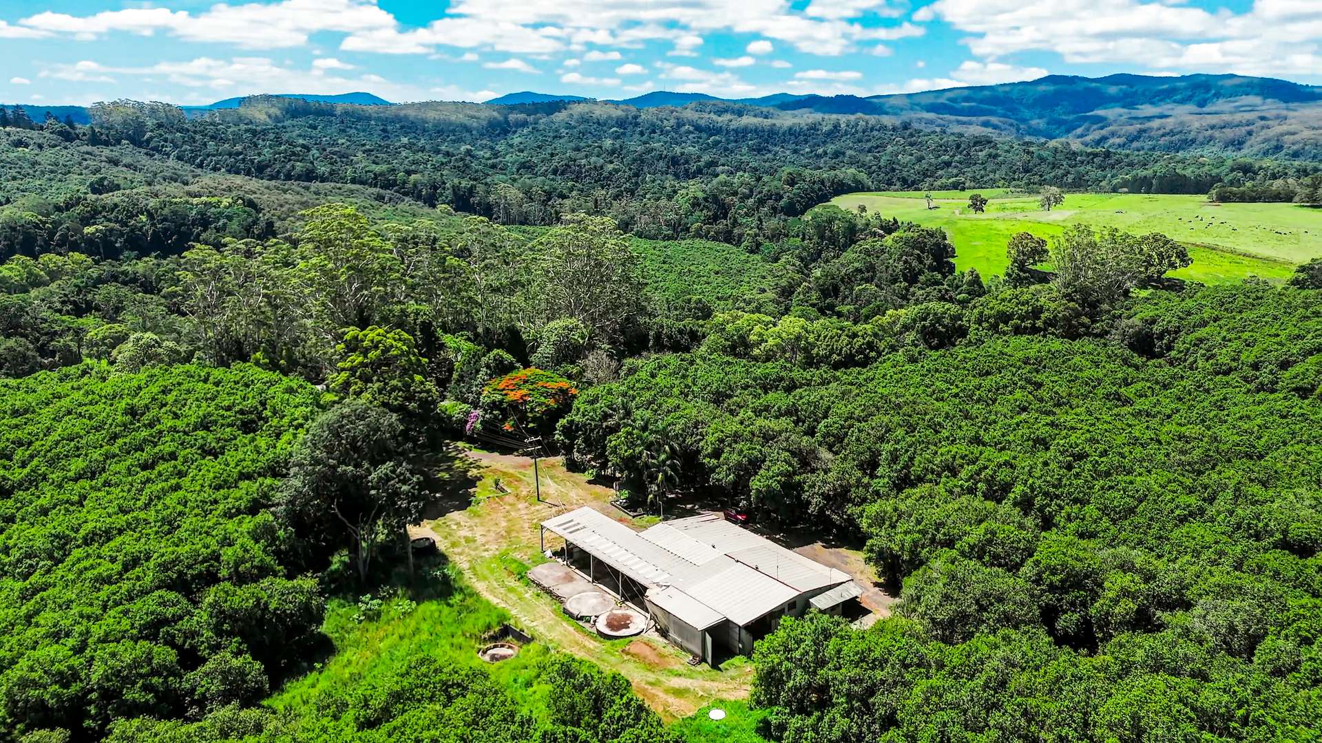 99 Rocky Creek Dam Road, Dunoon For Sale by Farmbuy.com - image 20