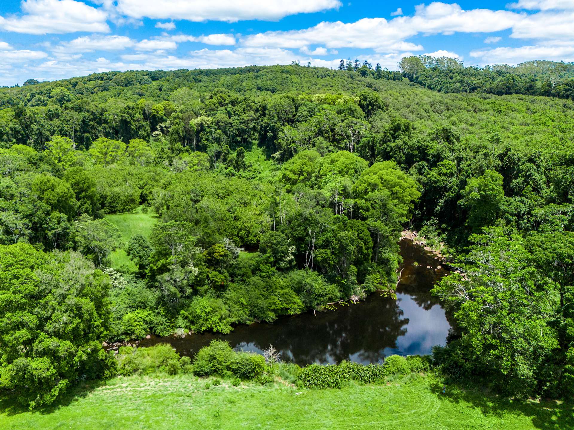 99 Rocky Creek Dam Road, Dunoon For Sale by Farmbuy.com - image 23