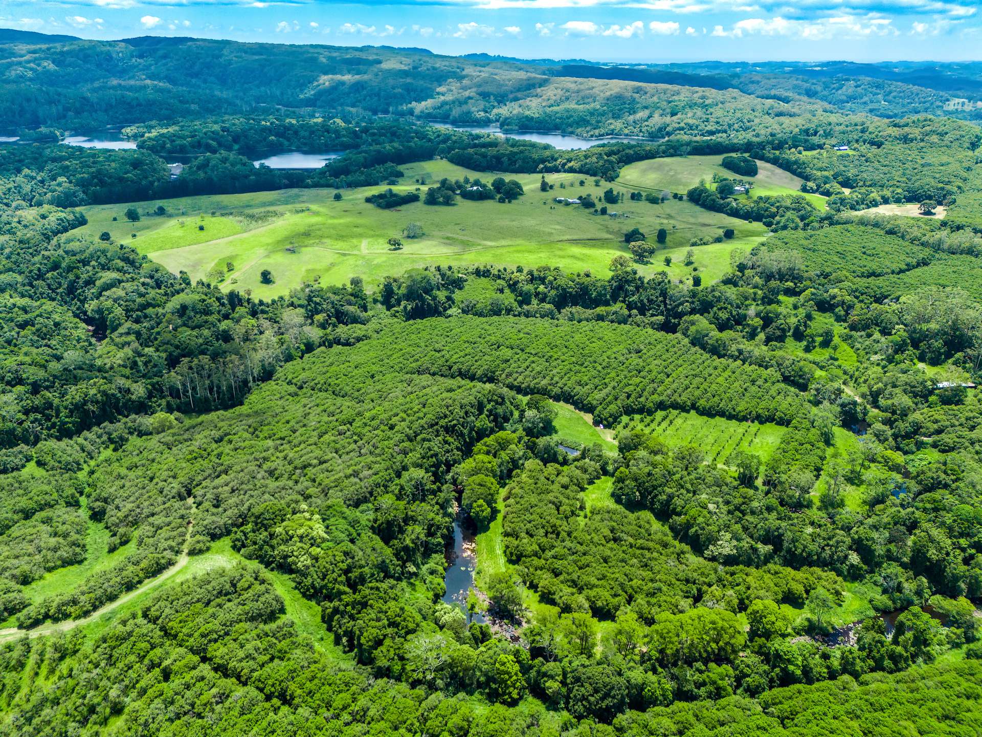 99 Rocky Creek Dam Road, Dunoon For Sale by Farmbuy.com - image 18