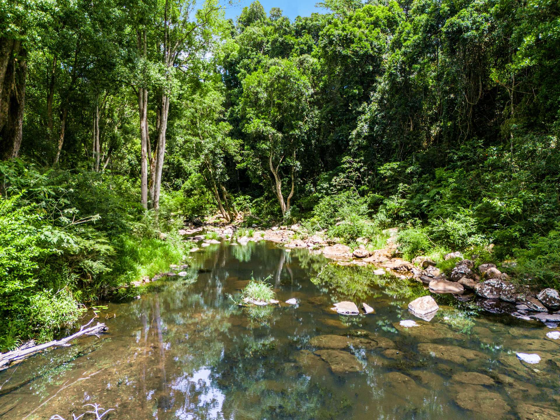 99 Rocky Creek Dam Road, Dunoon For Sale by Farmbuy.com - image 16