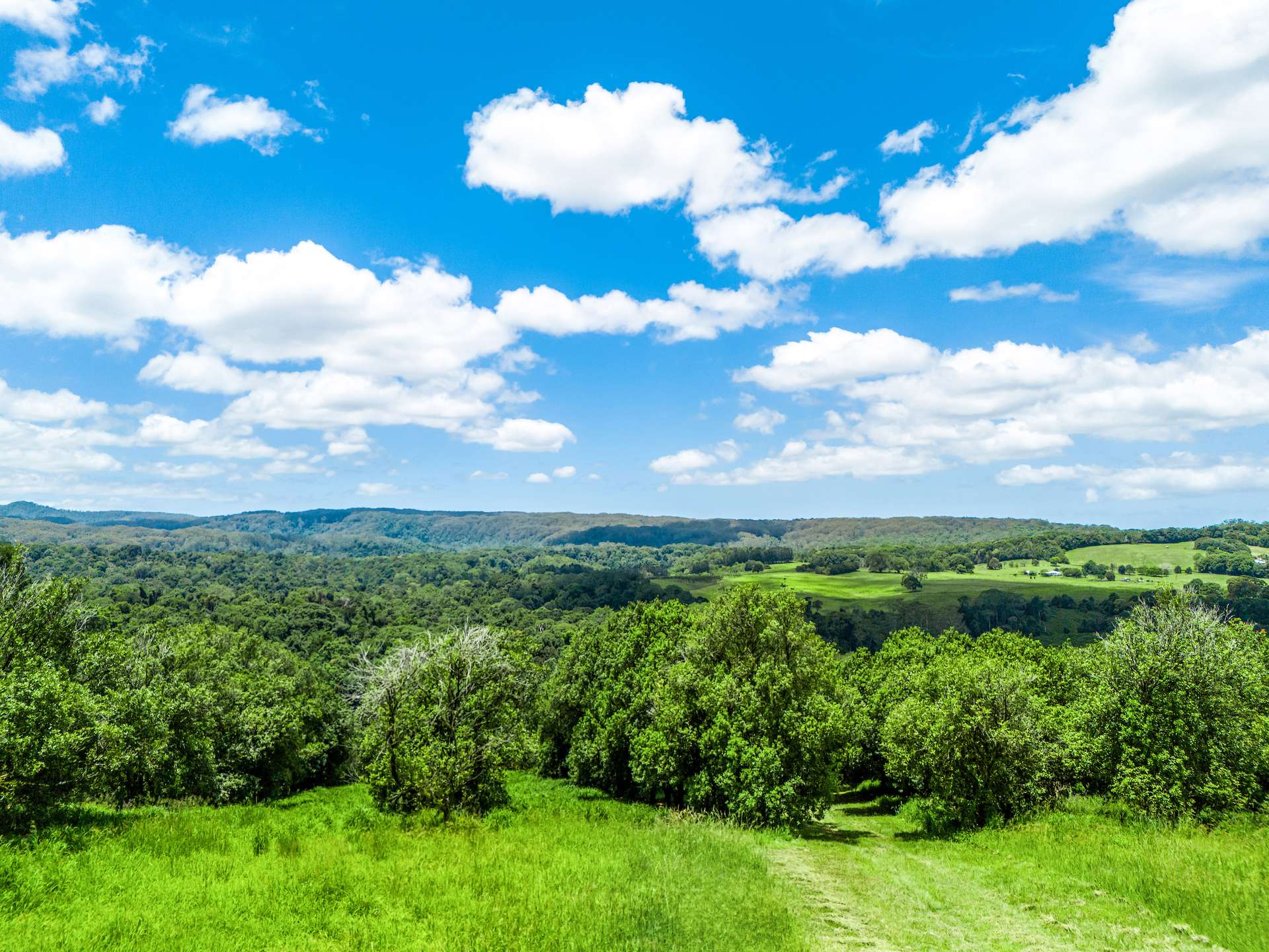 99 Rocky Creek Dam Road, Dunoon For Sale by Farmbuy.com - image 17
