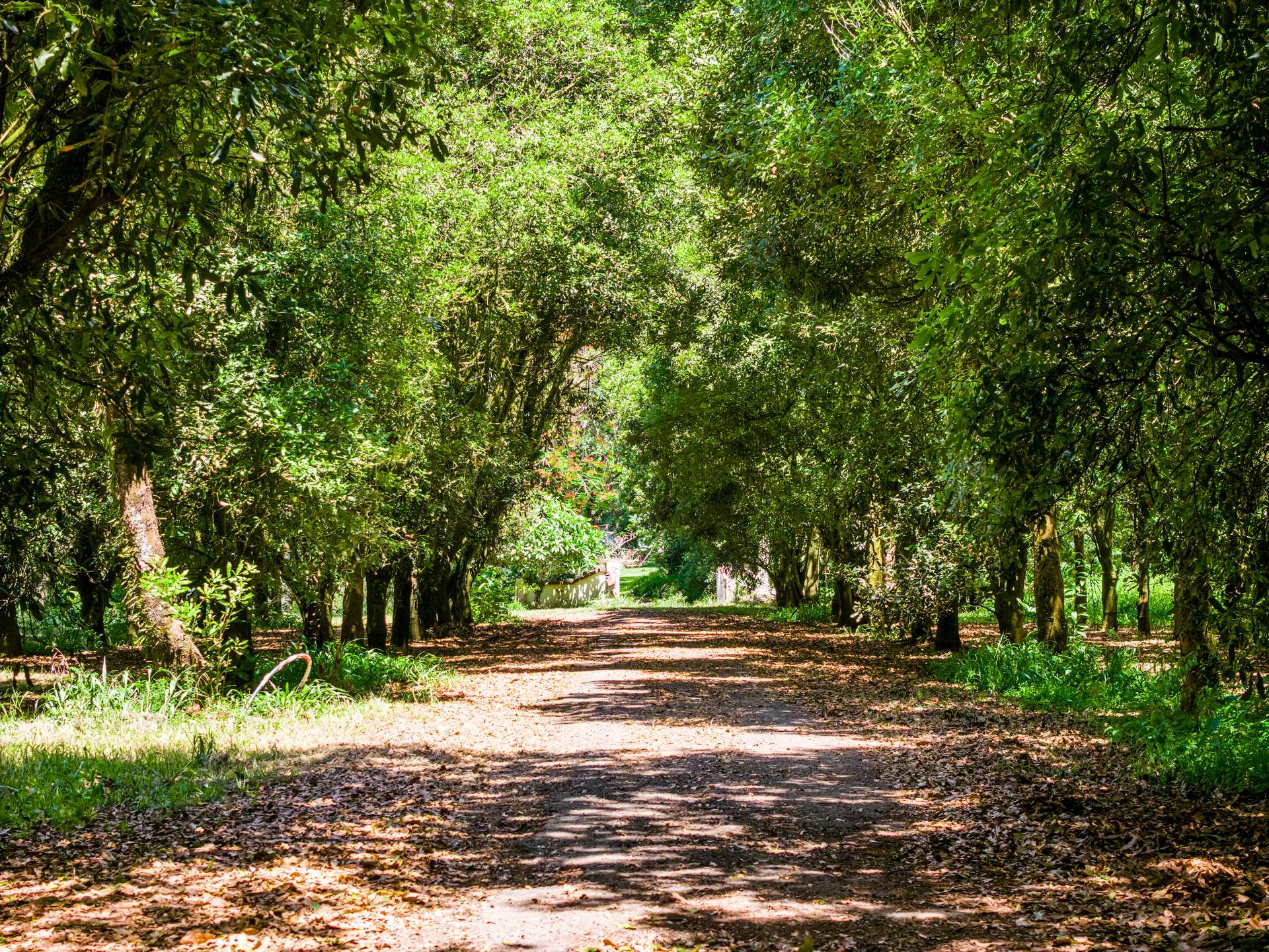 99 Rocky Creek Dam Road, Dunoon For Sale by Farmbuy.com - image 1