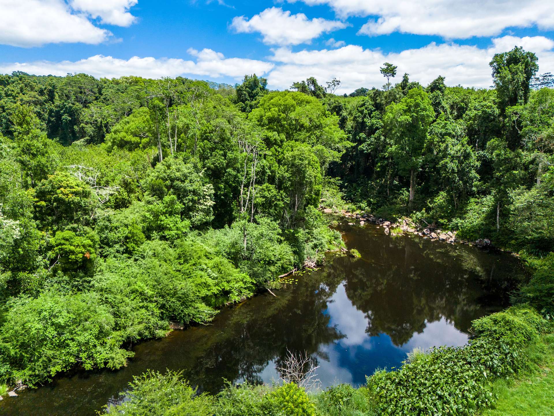 99 Rocky Creek Dam Road, Dunoon For Sale by Farmbuy.com - image 11