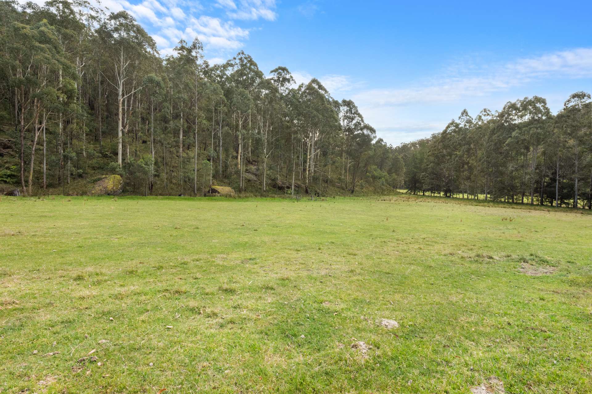 Lot 1/1387 Putty Valley Road, Putty For Sale by Farmbuy.com - image 12