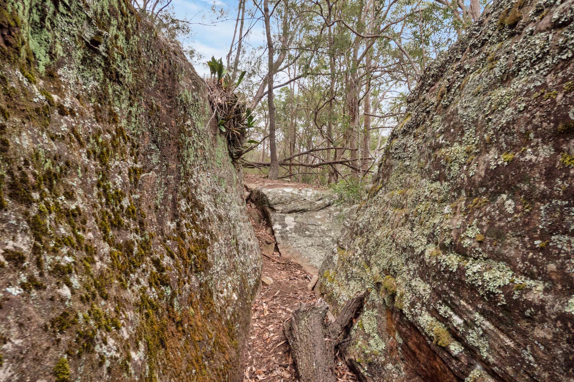 Lot 314, 1341A Putty Valley Road, Putty For Sale by Farmbuy.com - image 13