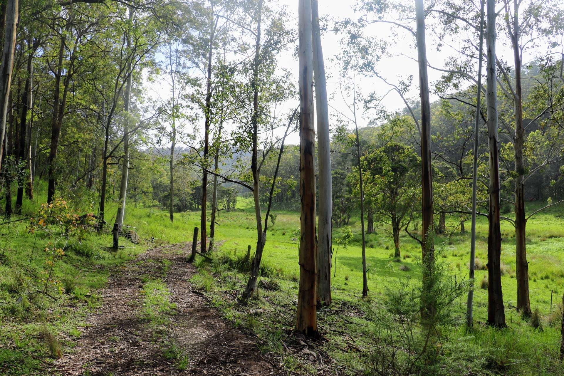 Lot 314, 1341A Putty Valley Road, Putty For Sale by Farmbuy.com - image 4