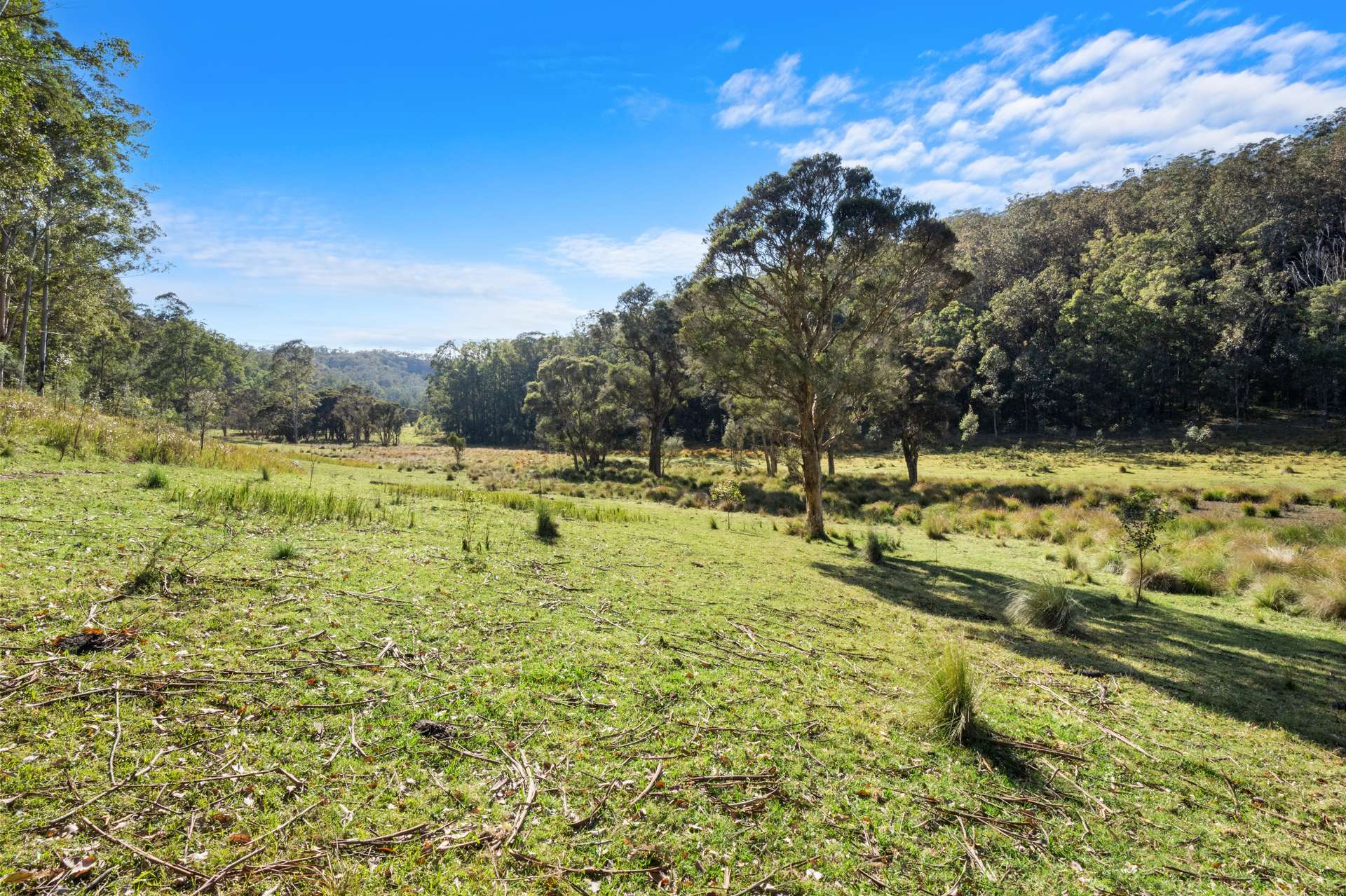 Lot 314, 1341A Putty Valley Road, Putty For Sale by Farmbuy.com - image 9