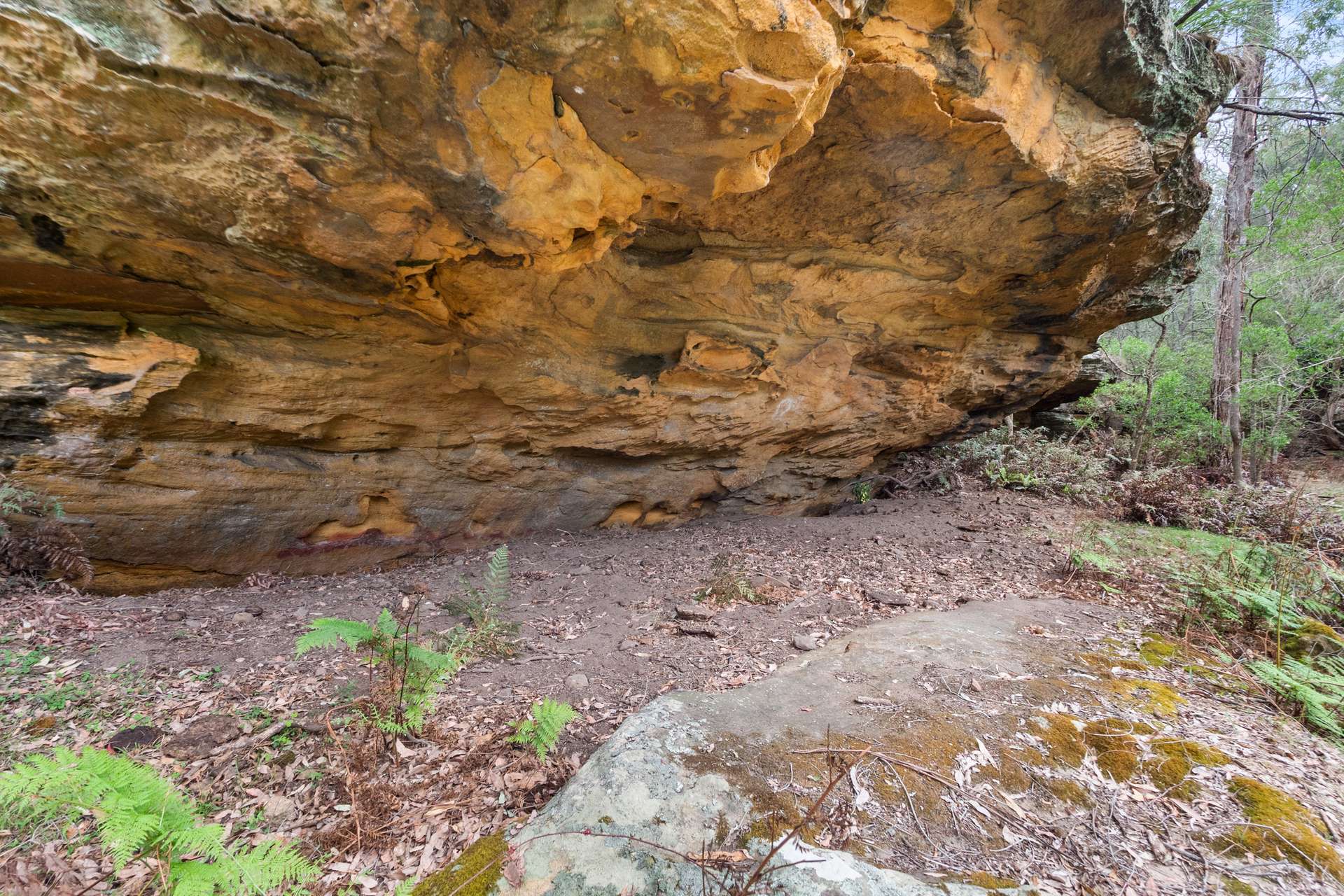 Lot 314, 1341A Putty Valley Road, Putty For Sale by Farmbuy.com - image 11