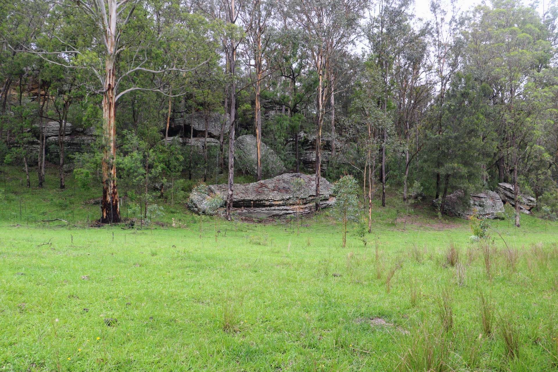 Lot 314, 1341A Putty Valley Road, Putty For Sale by Farmbuy.com - image 3