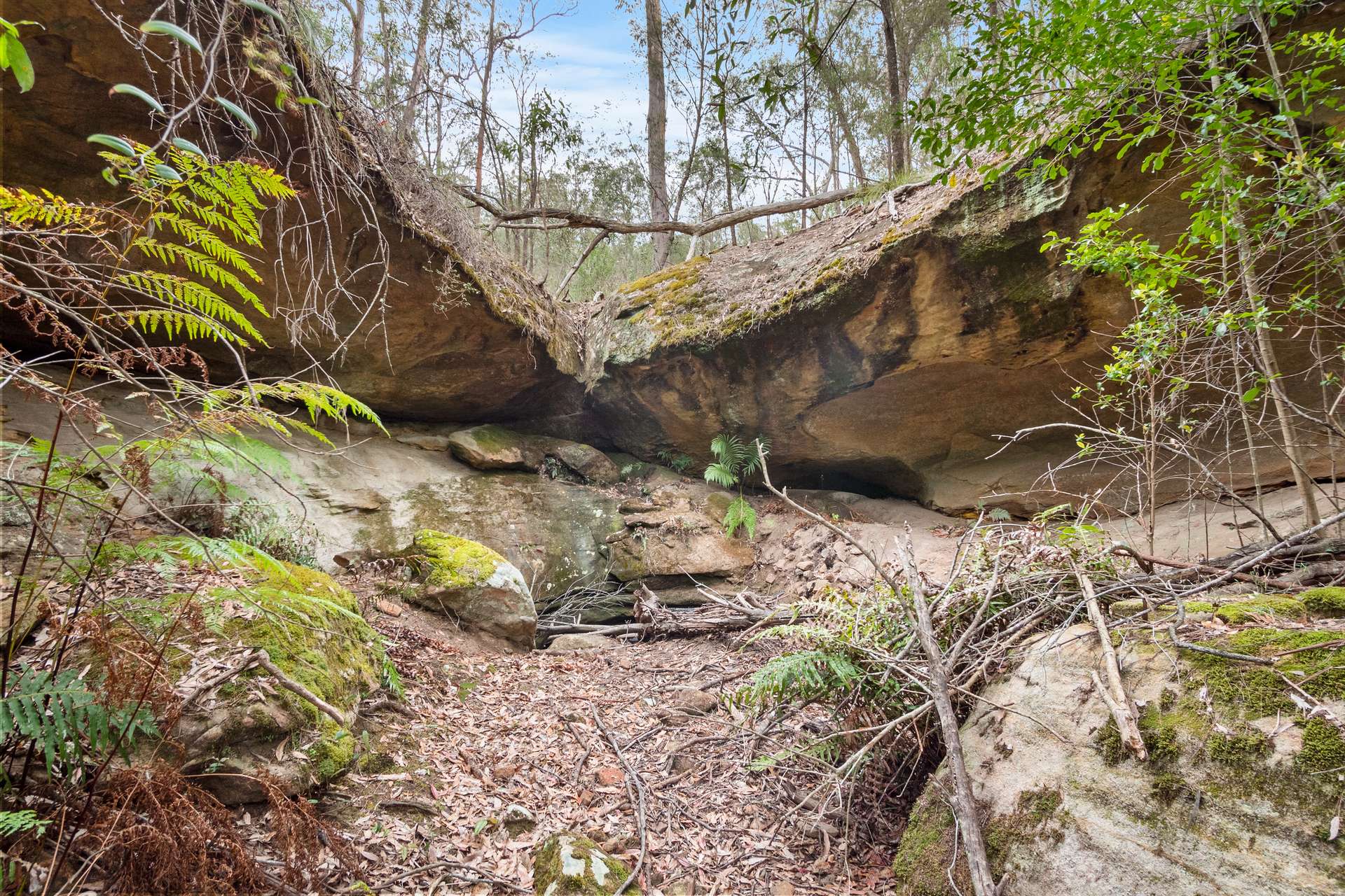 Lot 314, 1341A Putty Valley Road, Putty For Sale by Farmbuy.com - image 12