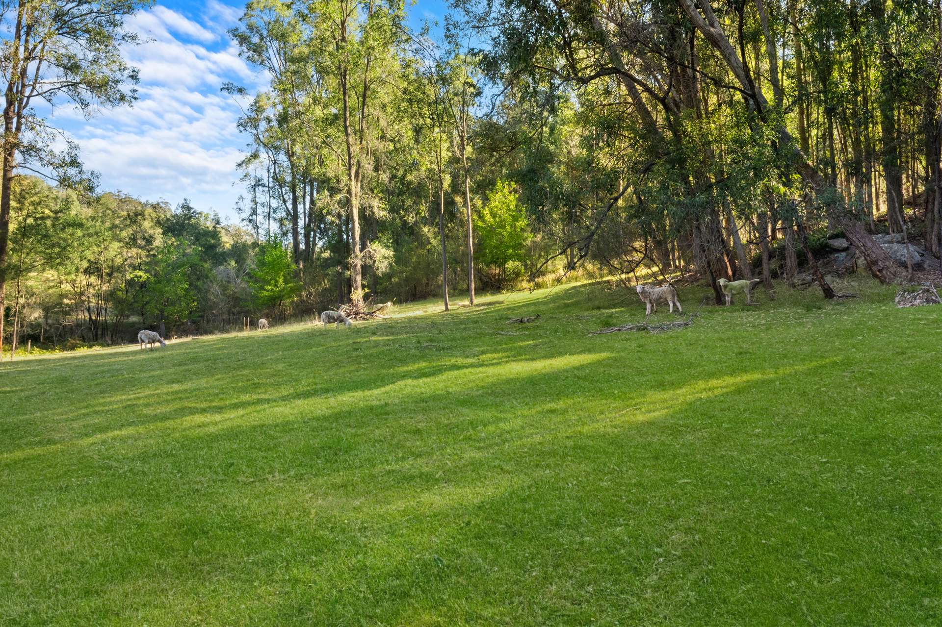 190 Burnt Arm Road, Putty For Sale by Farmbuy.com - image 27