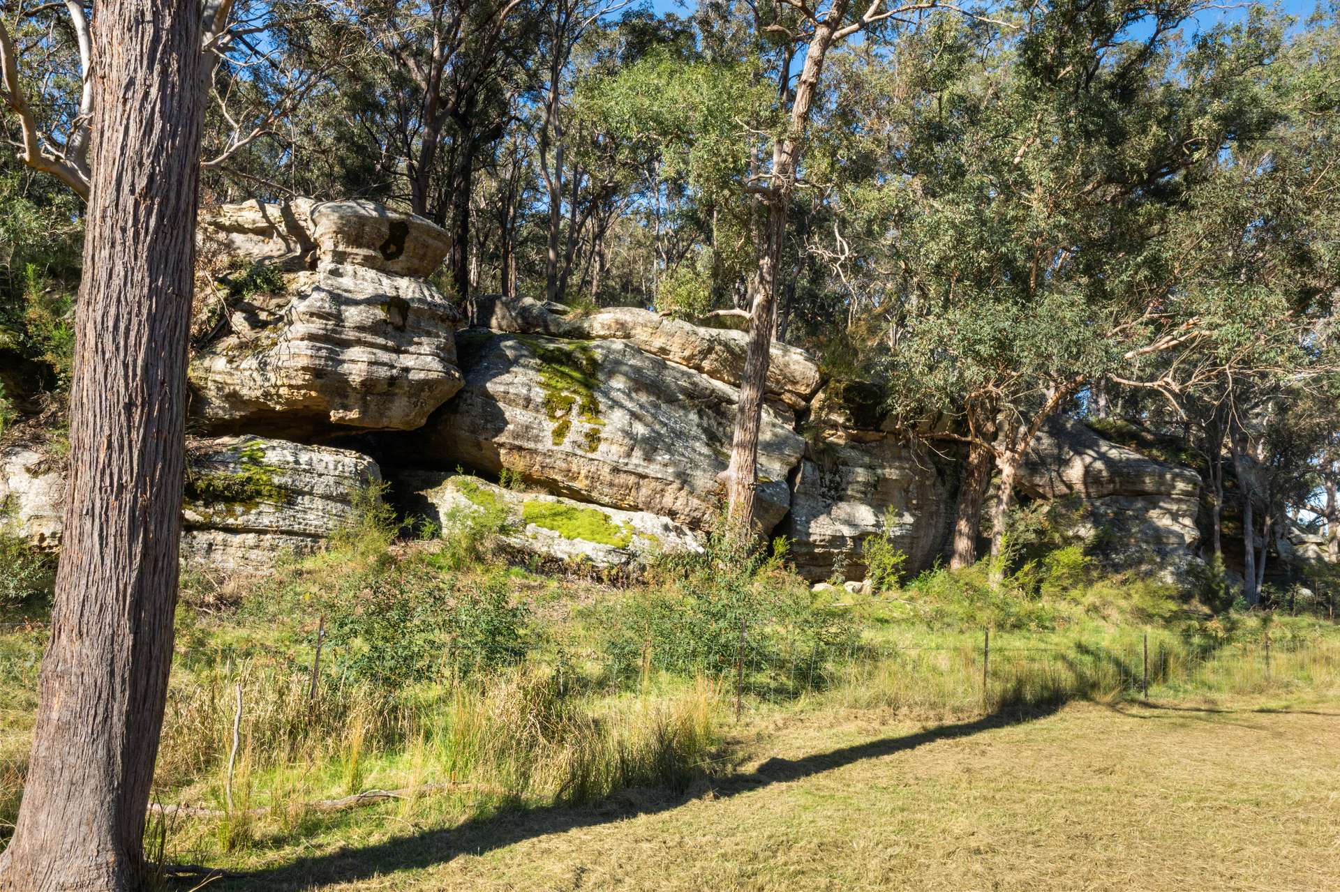 190 Burnt Arm Road, Putty For Sale by Farmbuy.com - image 32