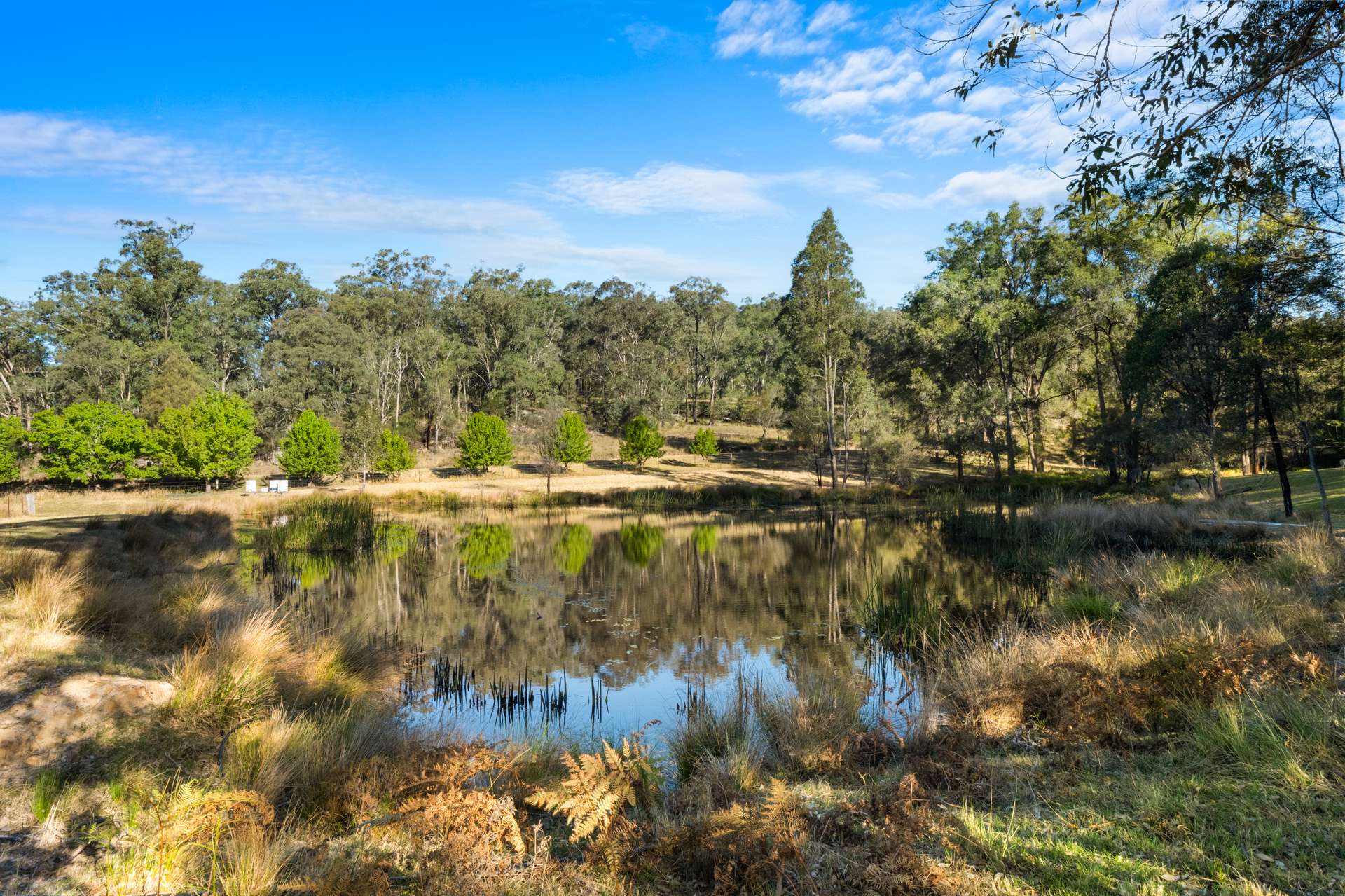190 Burnt Arm Road, Putty For Sale by Farmbuy.com - image 25