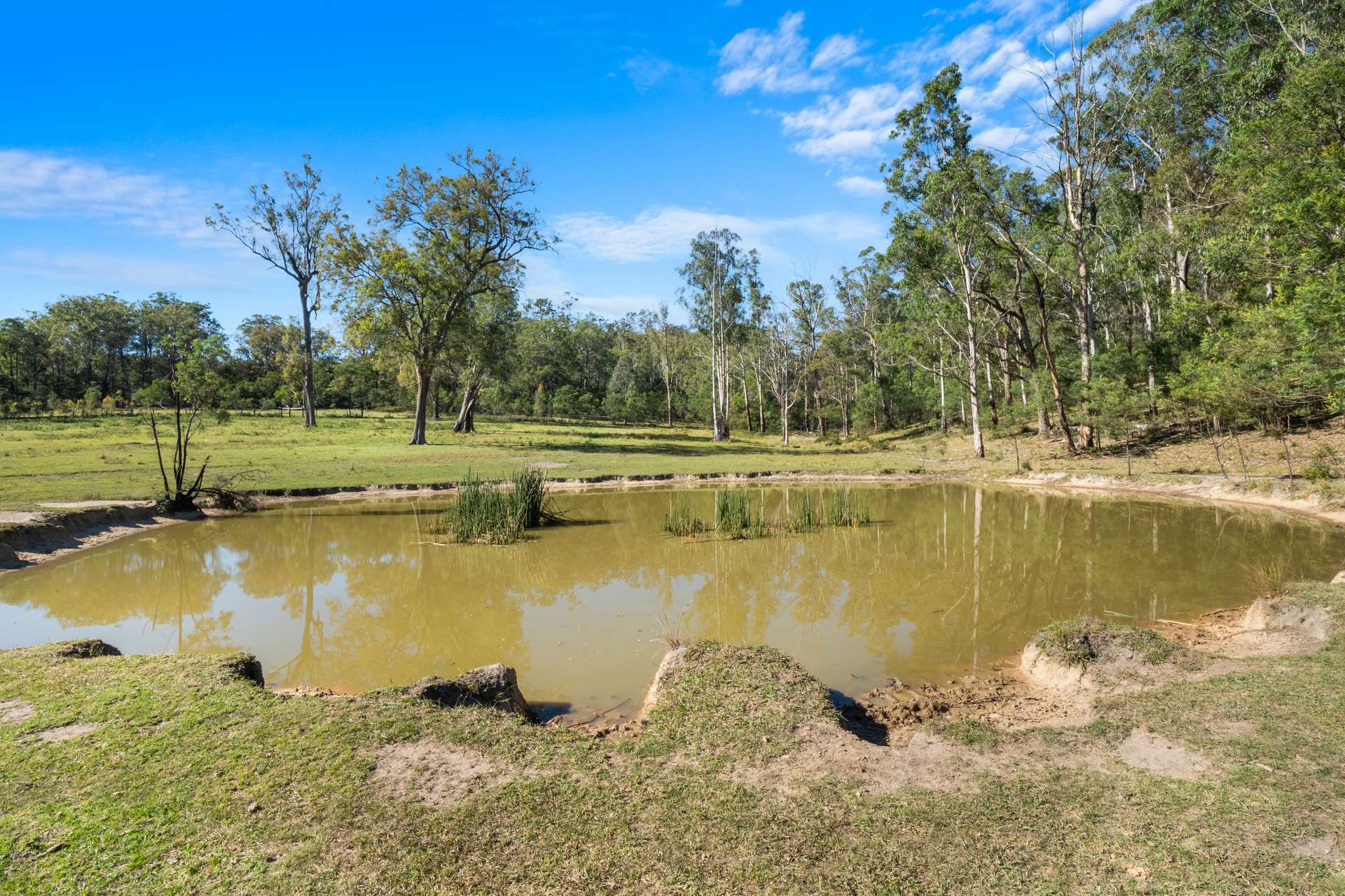 204 Kindarun Valley Road, Putty For Sale by Farmbuy.com - image 14