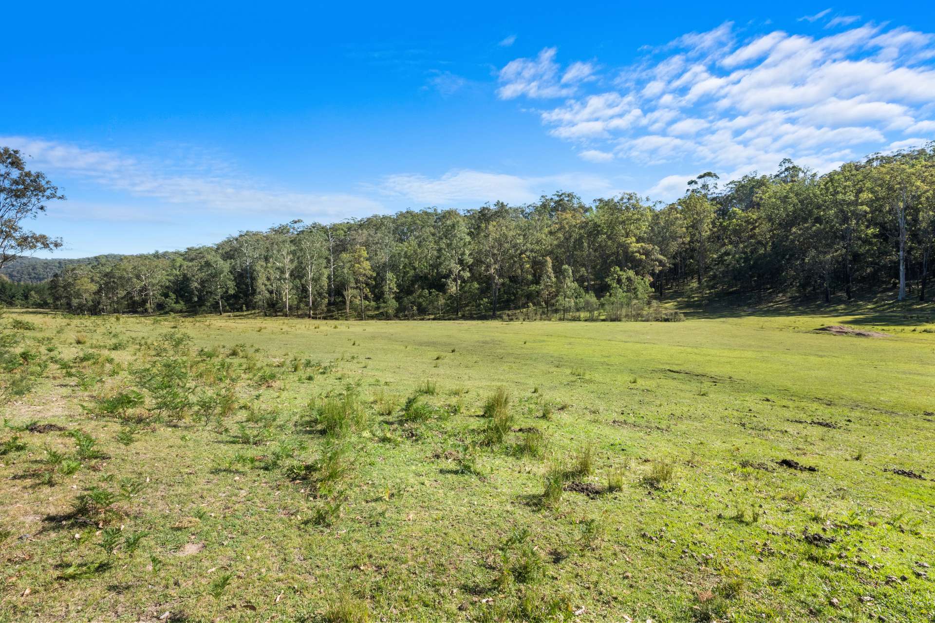 204 Kindarun Valley Road, Putty For Sale by Farmbuy.com - image 13