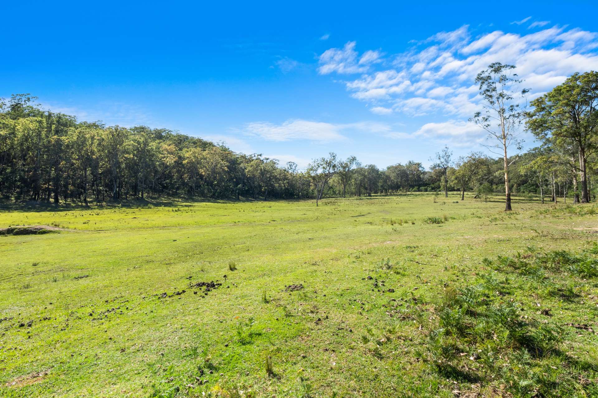 204 Kindarun Valley Road, Putty For Sale by Farmbuy.com - image 15