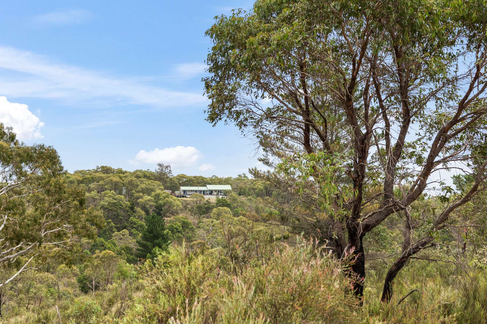 7288 Nerriga Road, Braidwood For Sale by Farmbuy.com - image 33
