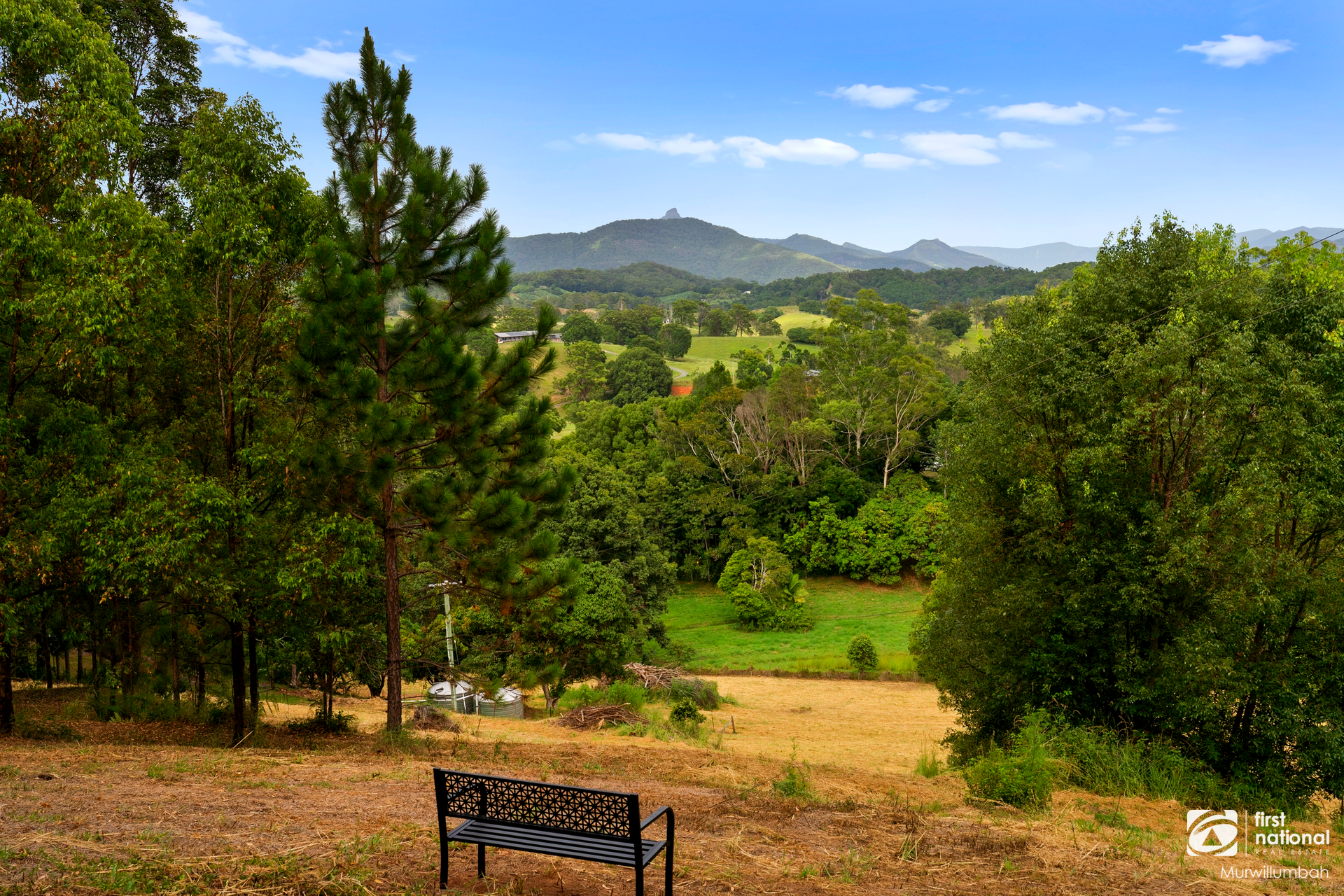 437 Wardrop Valley Road, Wardrop Valley For Sale by Farmbuy.com - image 4