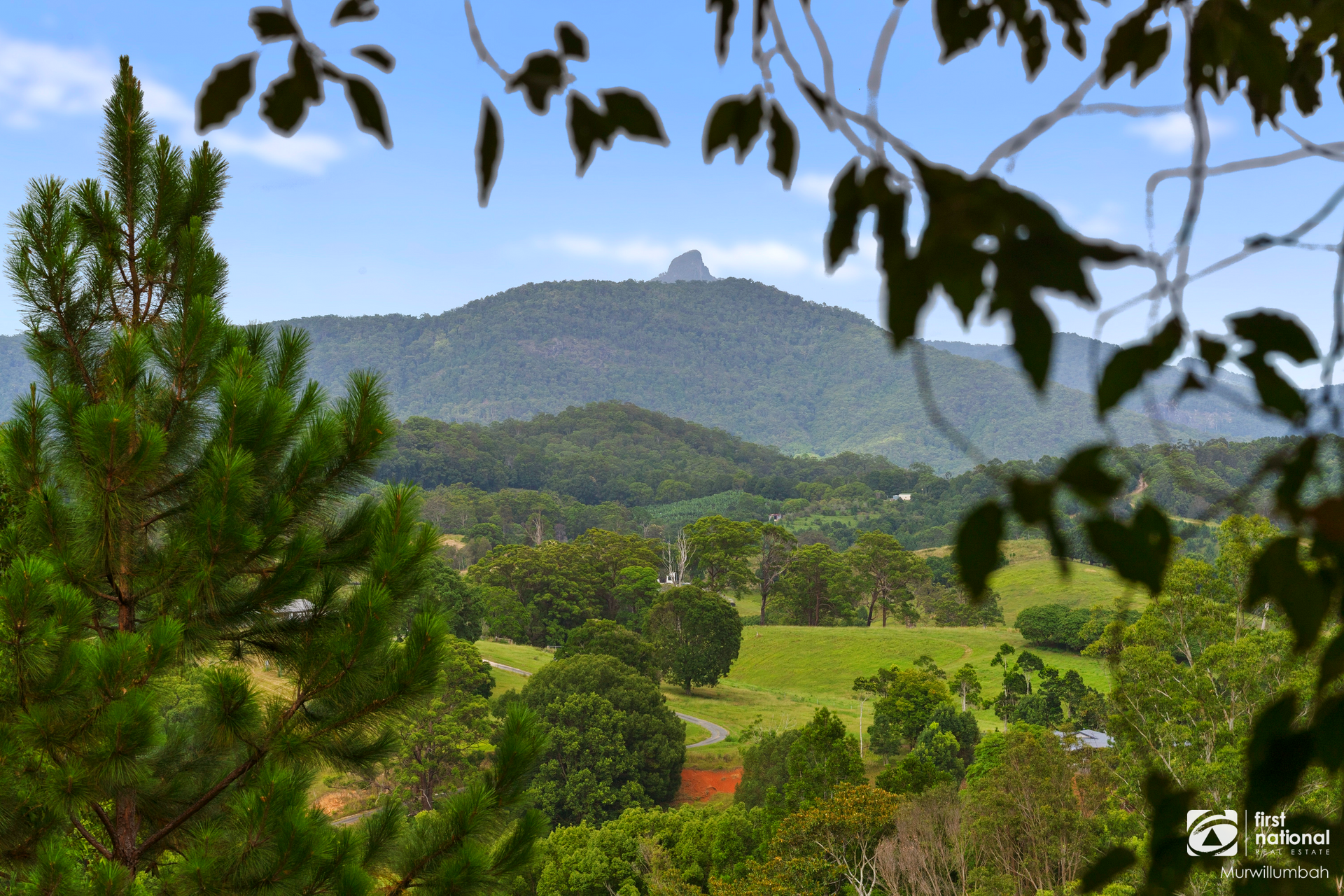 437 Wardrop Valley Road, Wardrop Valley For Sale by Farmbuy.com - image 7