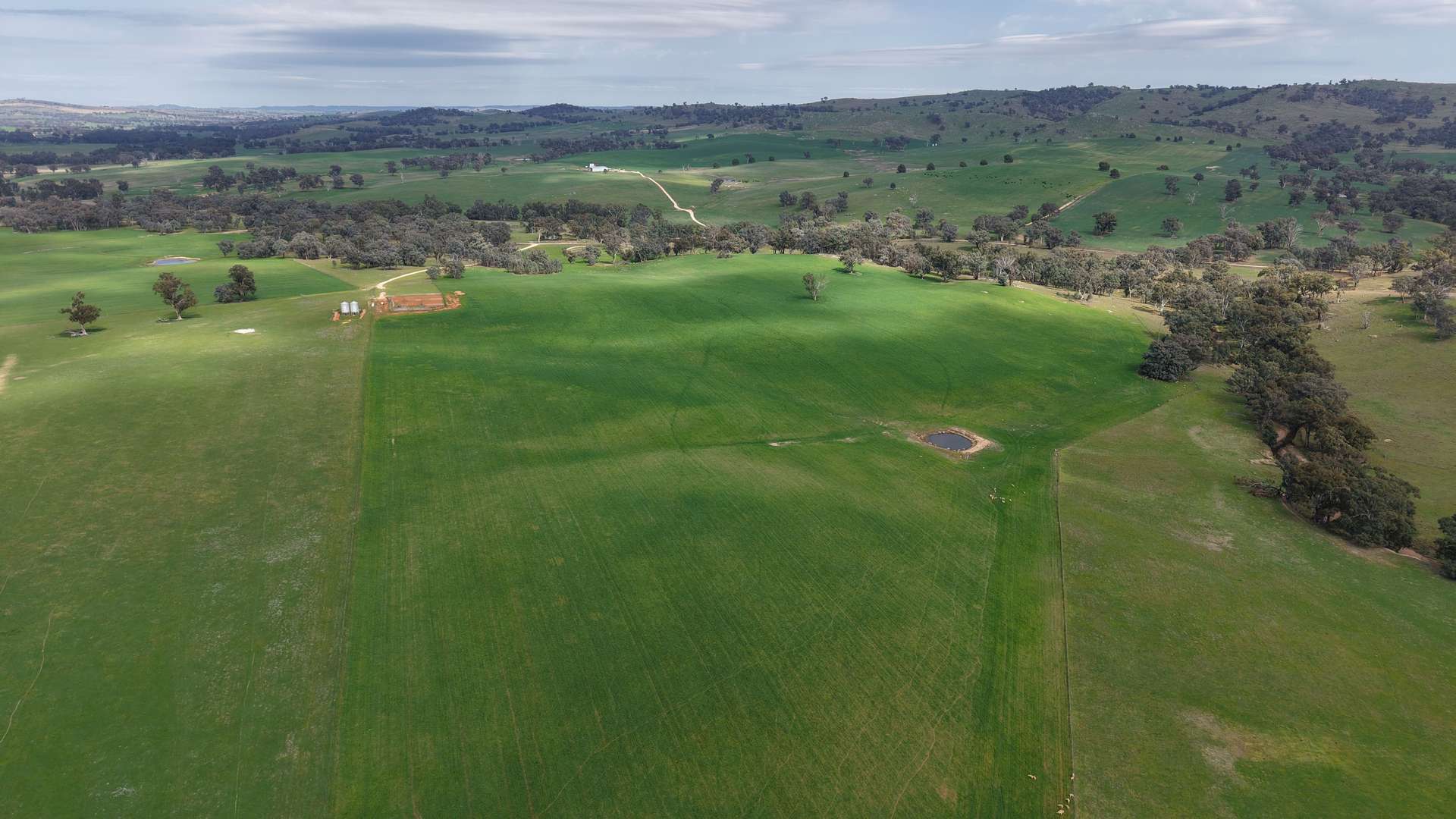 Dicksons, 0 Bennett Springs Road, Cowra For Sale by Farmbuy.com - image 4