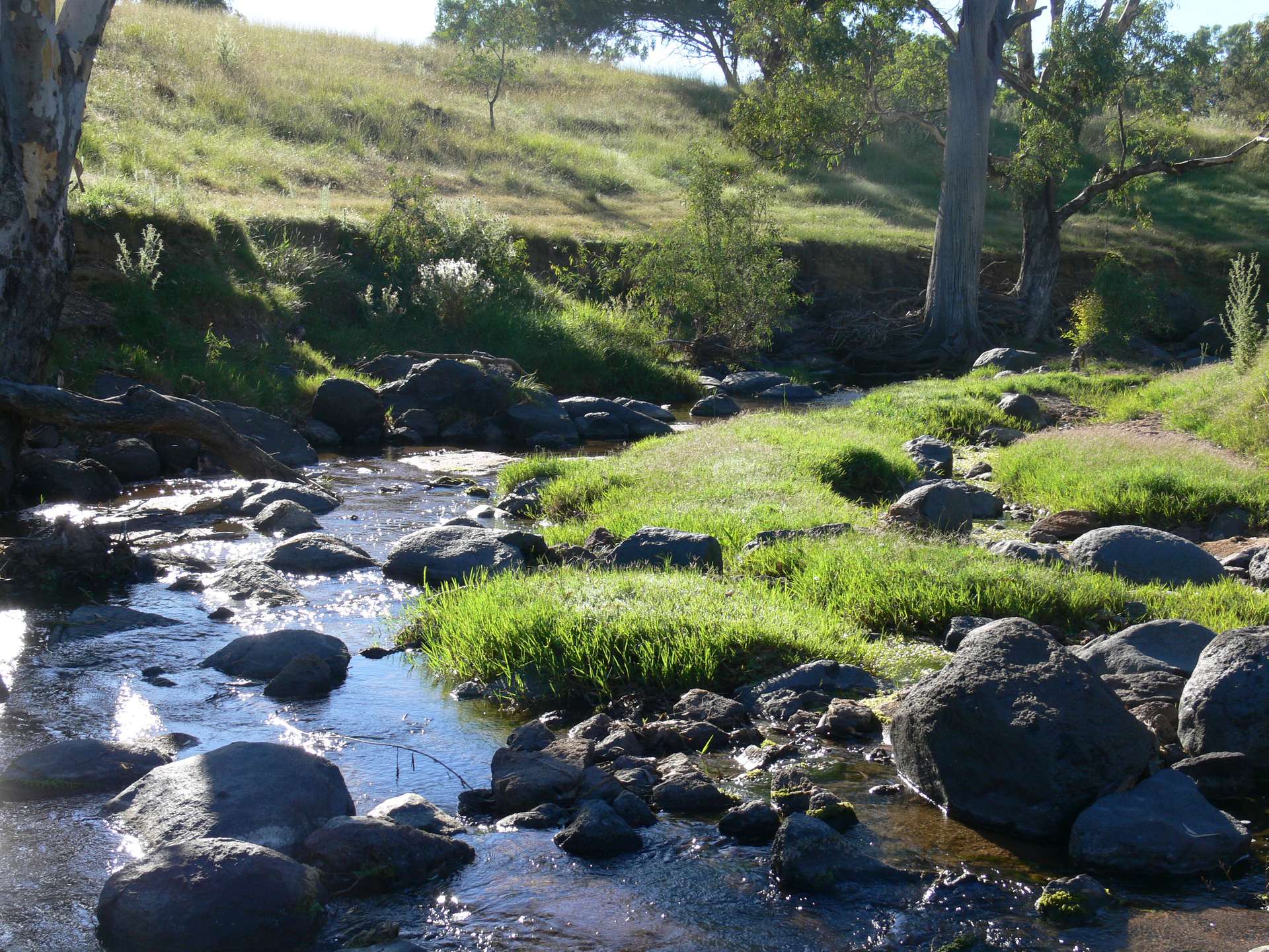 Dicksons, 0 Bennett Springs Road, Cowra For Sale by Farmbuy.com - image 13