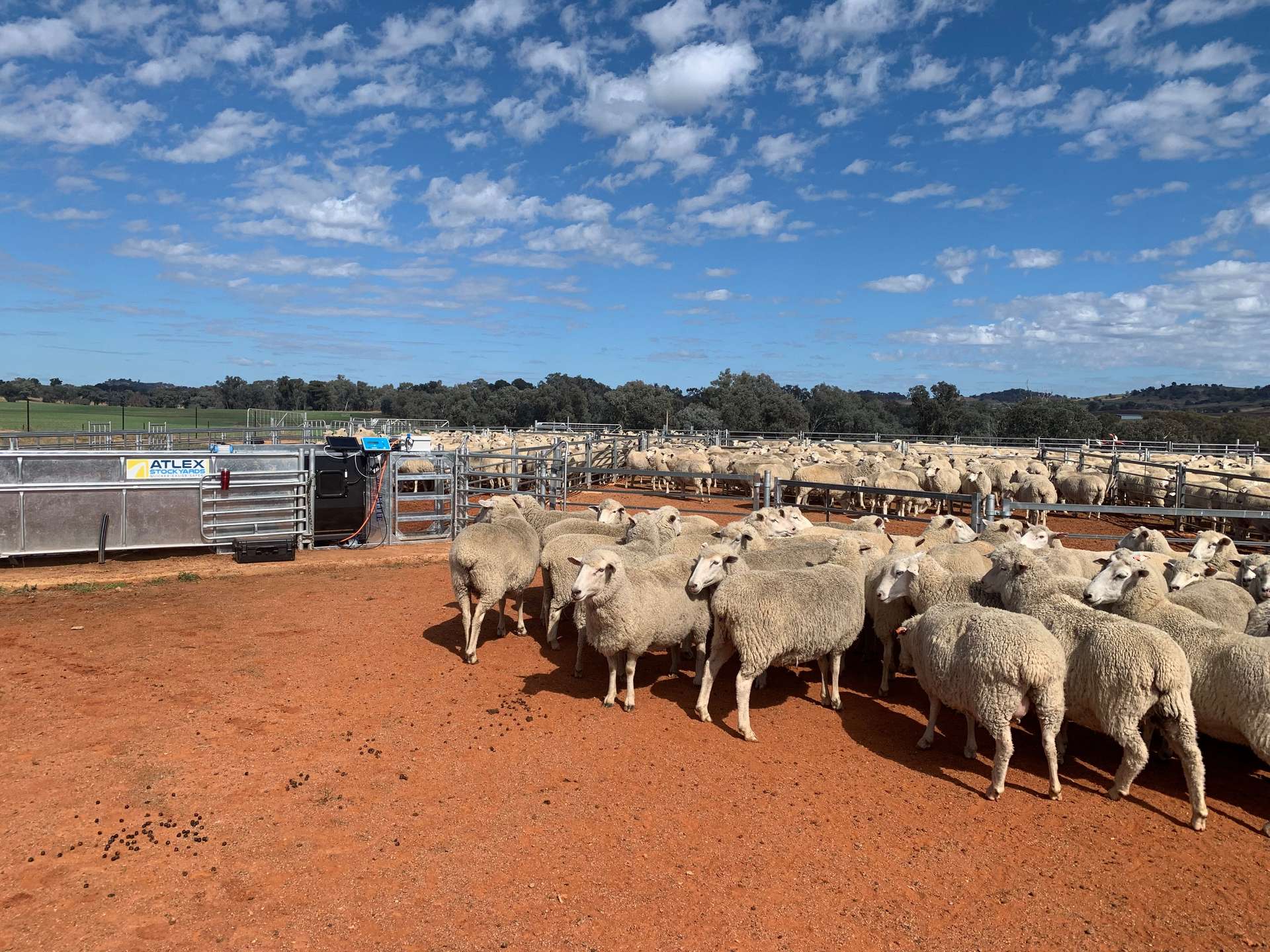 Dicksons, 0 Bennett Springs Road, Cowra For Sale by Farmbuy.com - image 8