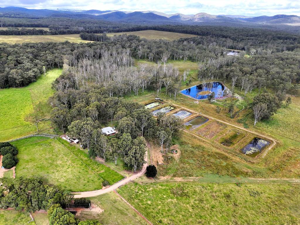 Wondecla QLD 4887