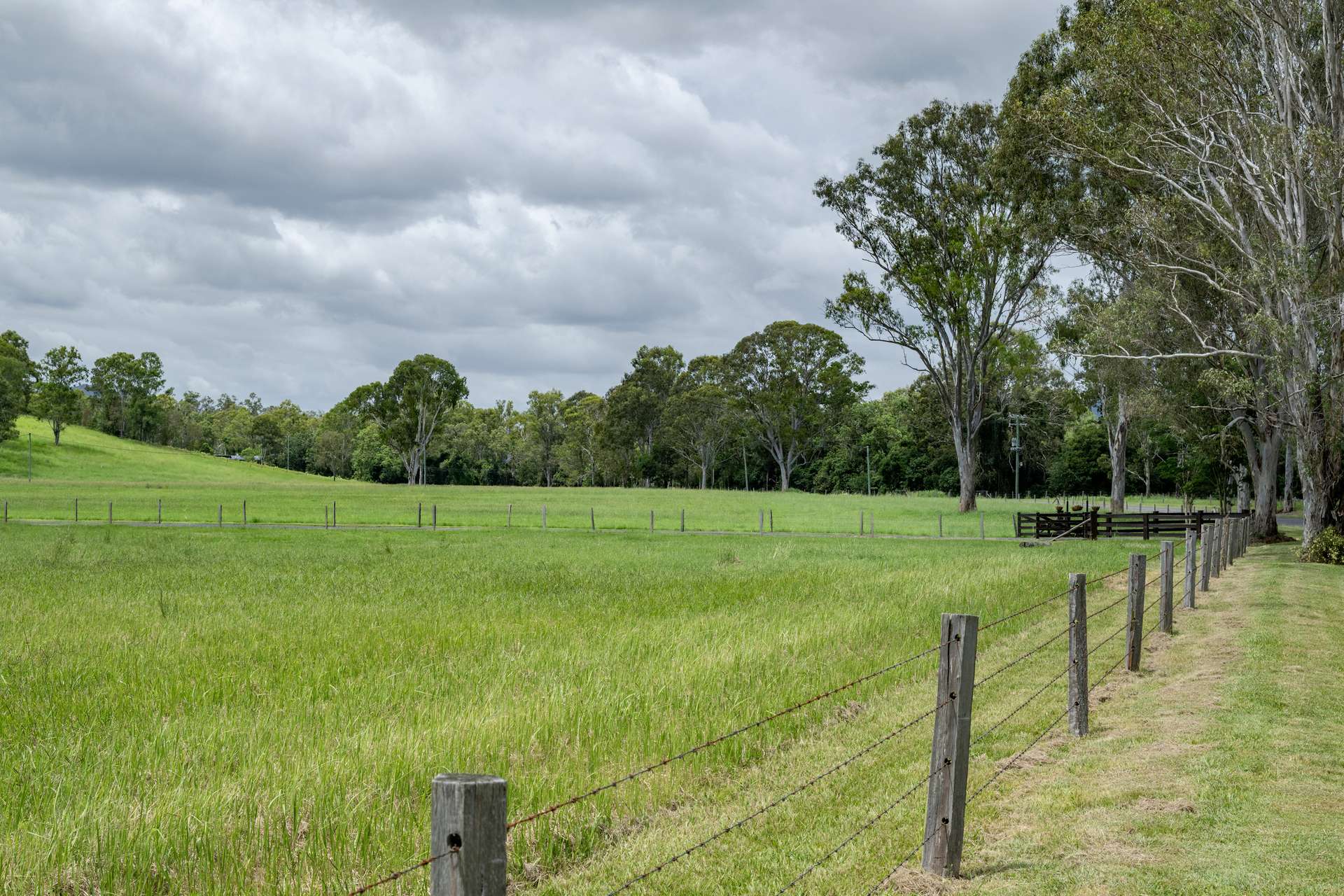 273 Mooloo Road, Mooloo Sold by Farmbuy.com - image 32