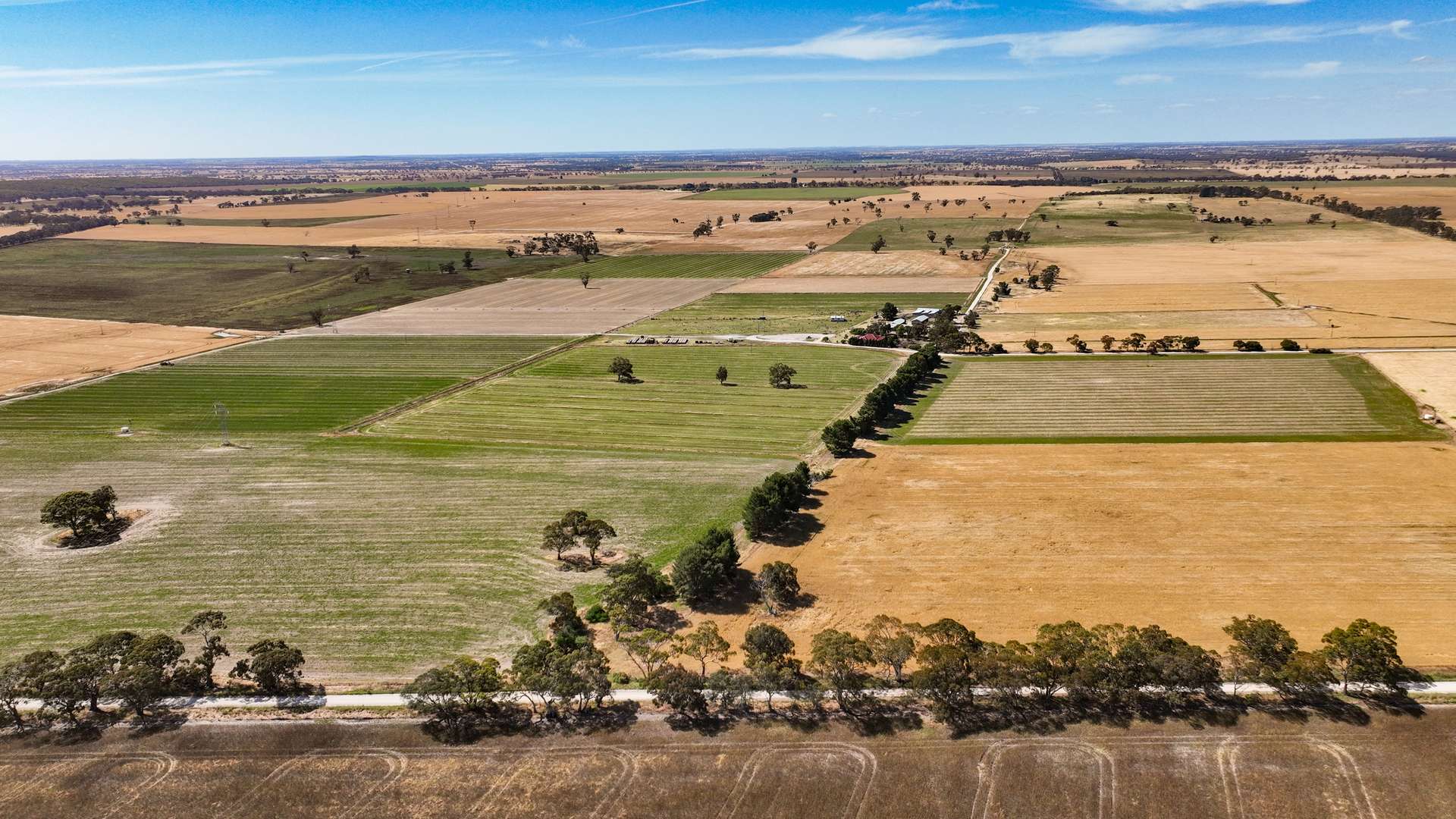 2212 CAREW ROAD, Mundulla Auction by Farmbuy.com - image 24