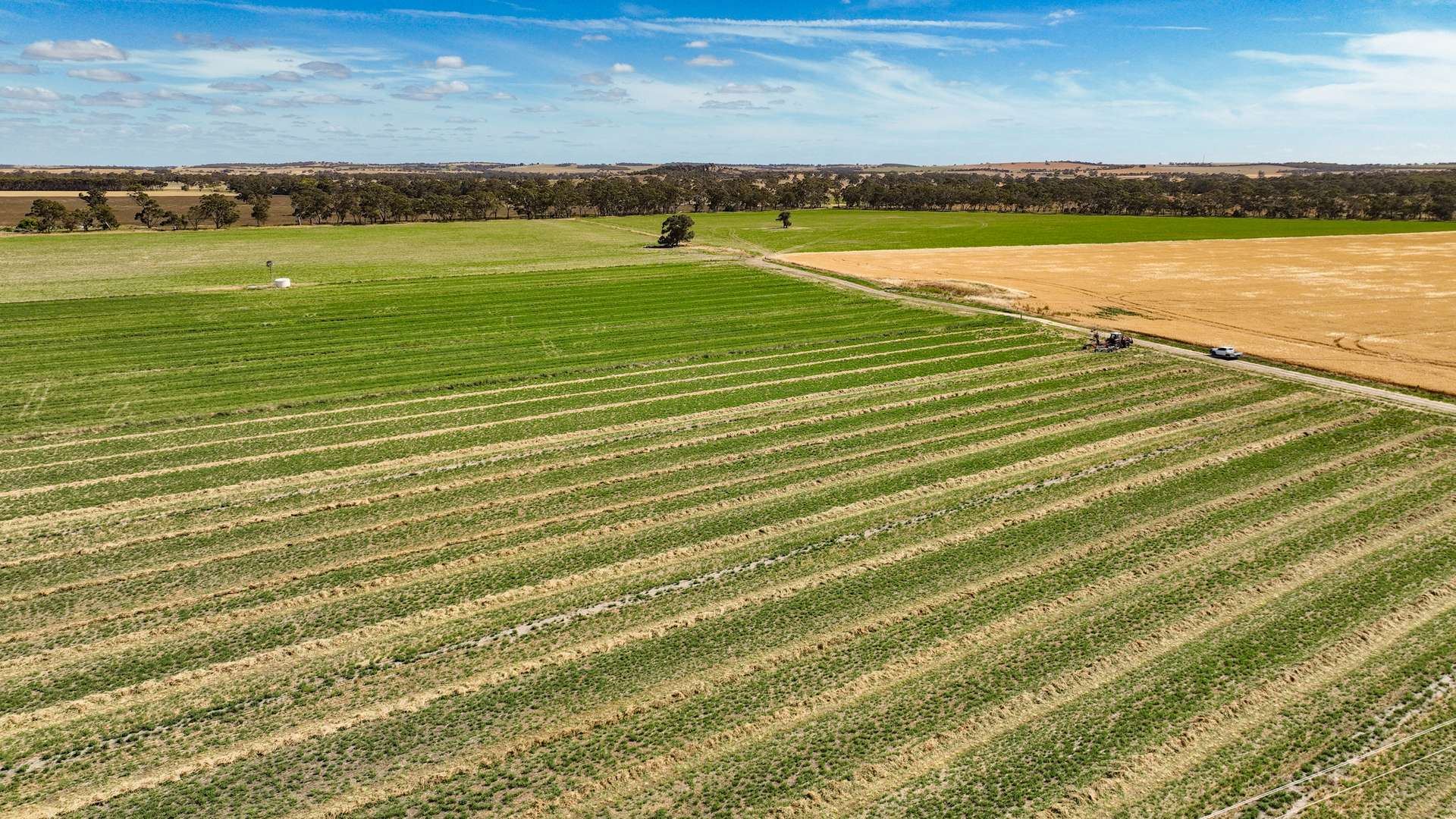 2212 CAREW ROAD, Mundulla Auction by Farmbuy.com - image 8