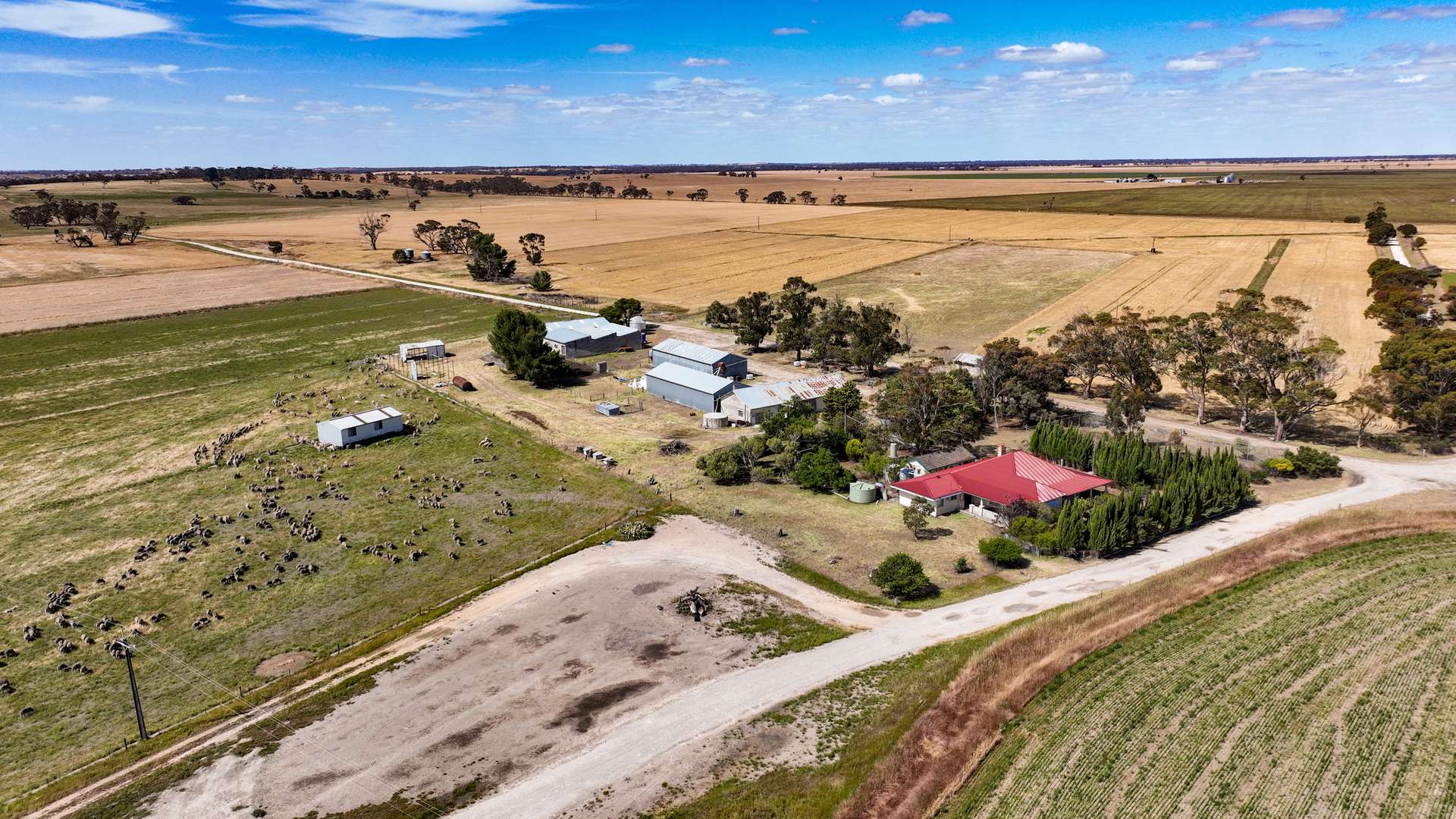 2212 CAREW ROAD, Mundulla Auction by Farmbuy.com - image 4