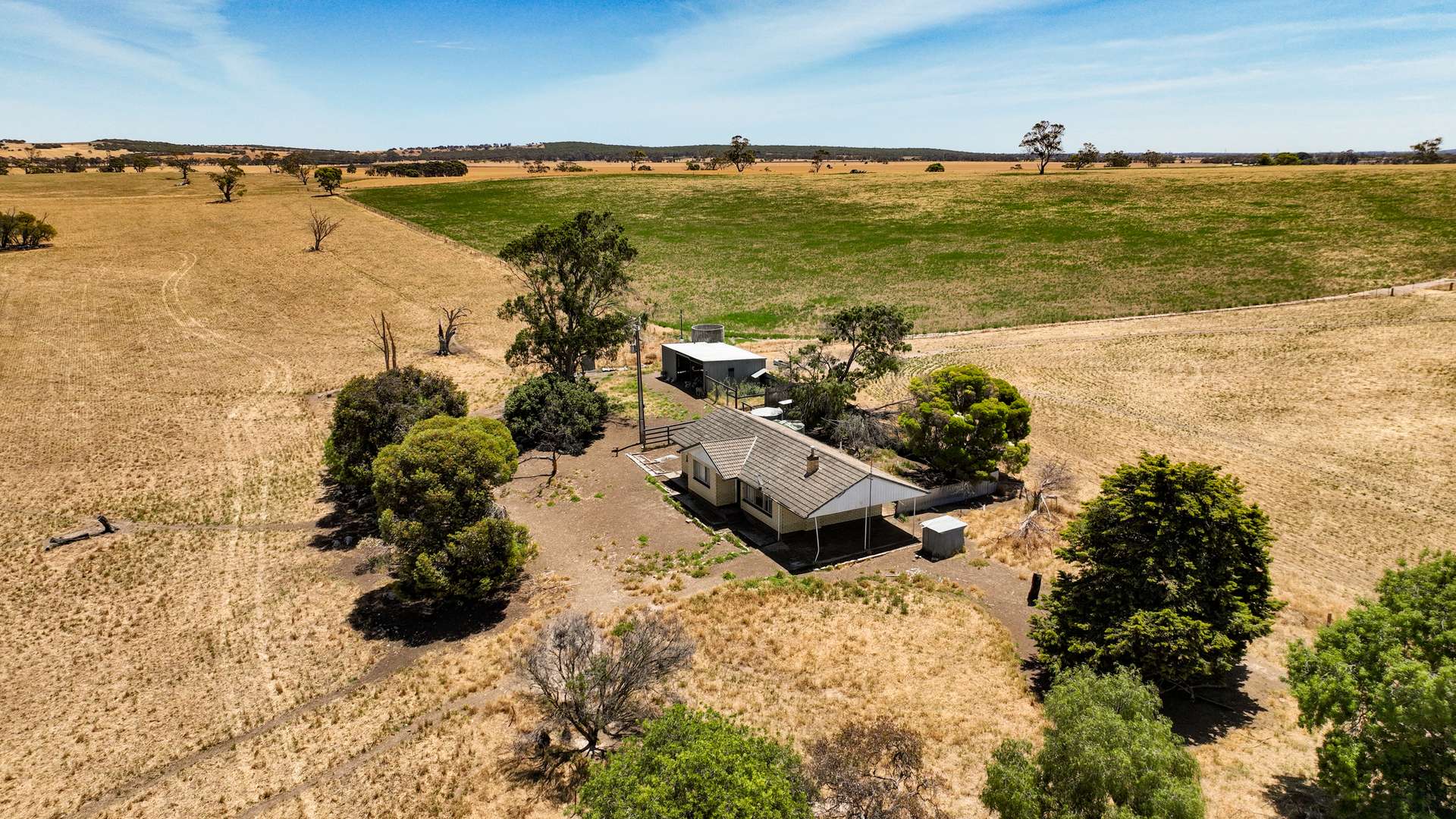 2212 CAREW ROAD, Mundulla Auction by Farmbuy.com - image 18