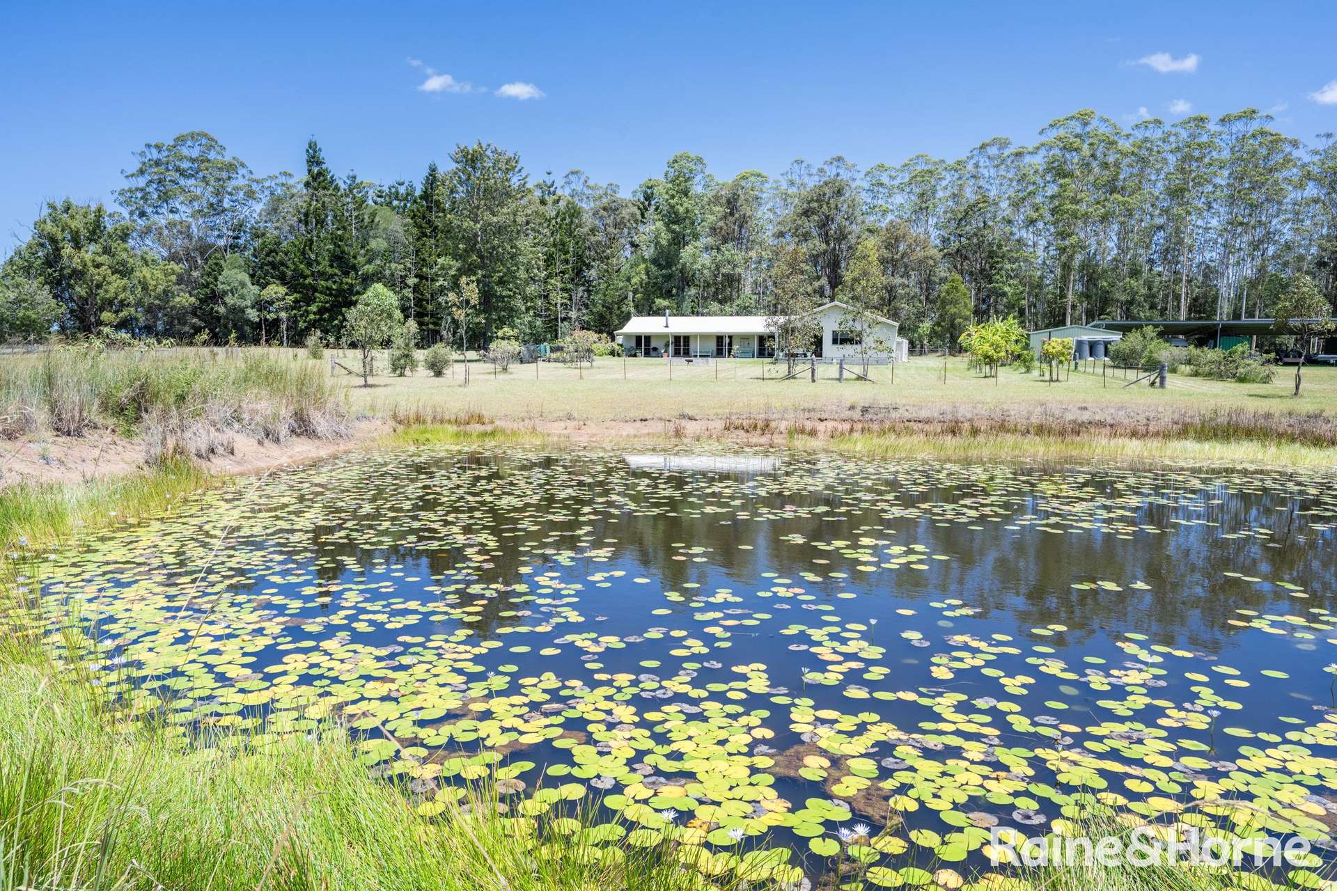 1233 Tullymorgan Road, Tullymorgan For Sale by Farmbuy.com - image 18