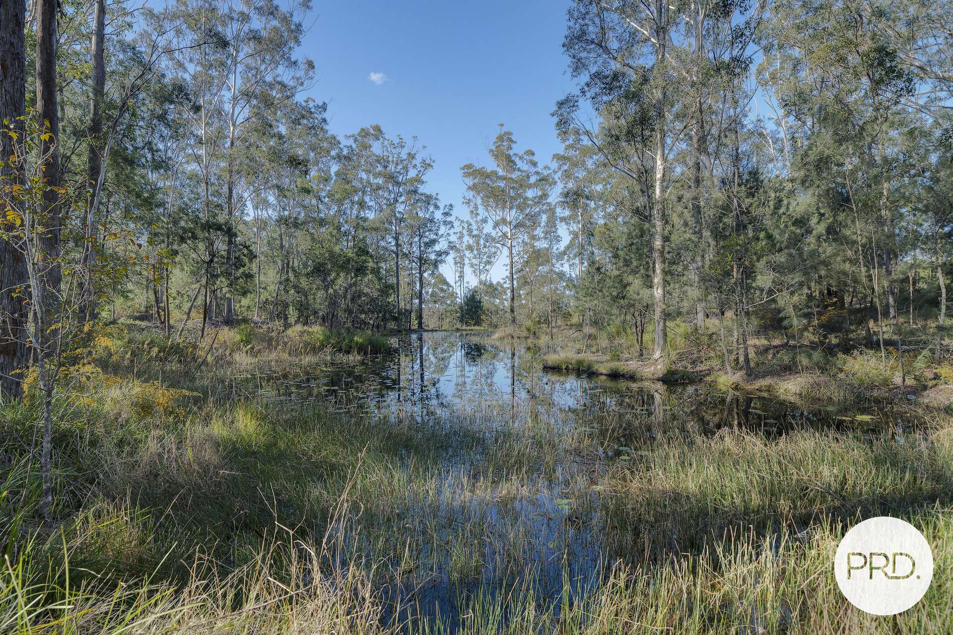 359 Herons Creek Road, Herons Creek For Sale by Farmbuy.com - image 21
