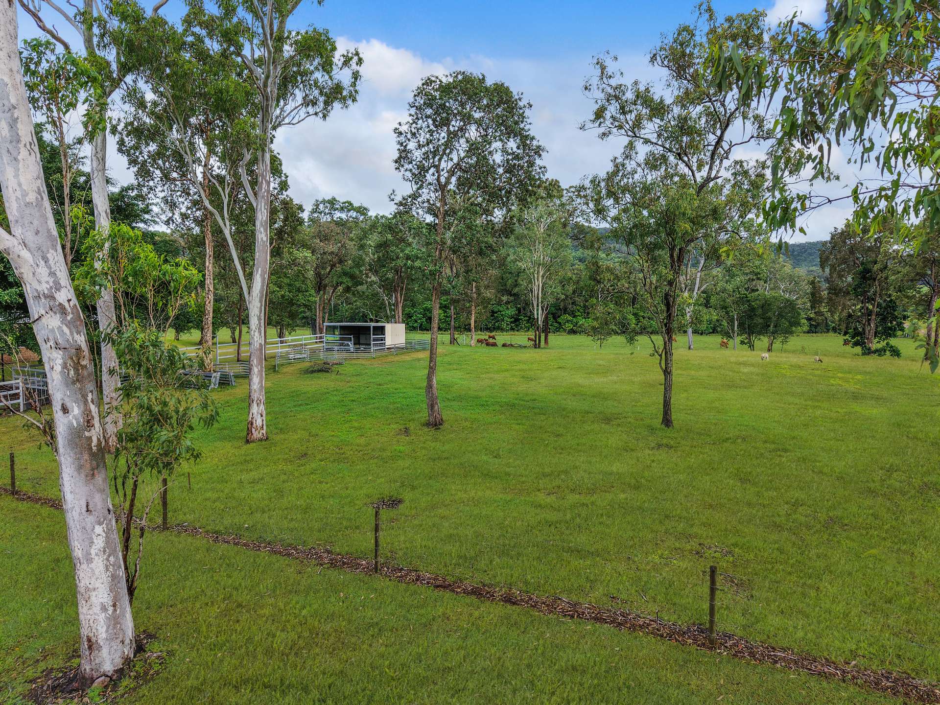 210 Smith-Cross Rd, Devereux Creek For Sale by Farmbuy.com - image 18