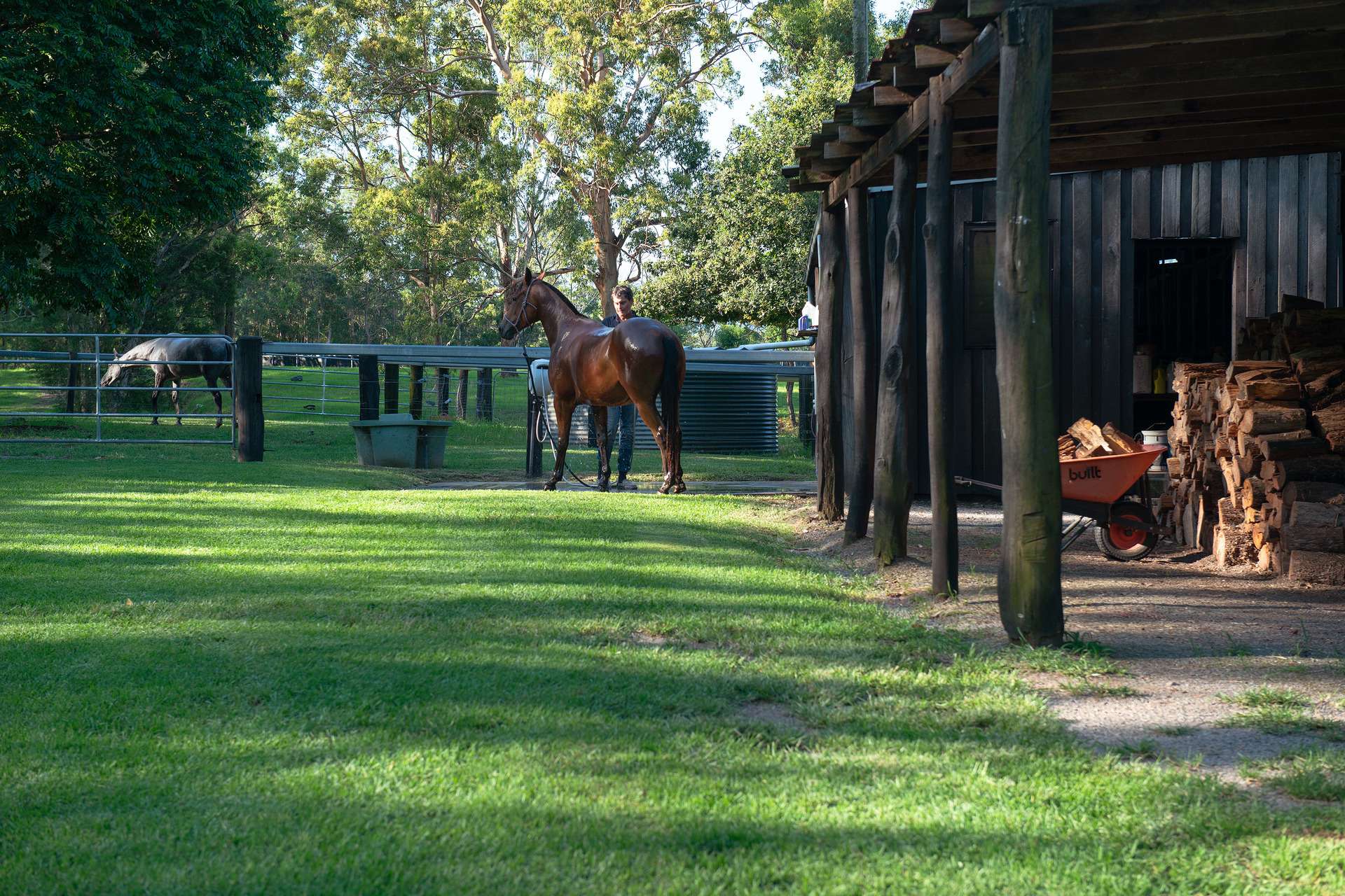 368 Main Creek Road, Dungog Sold by Farmbuy.com - image 32