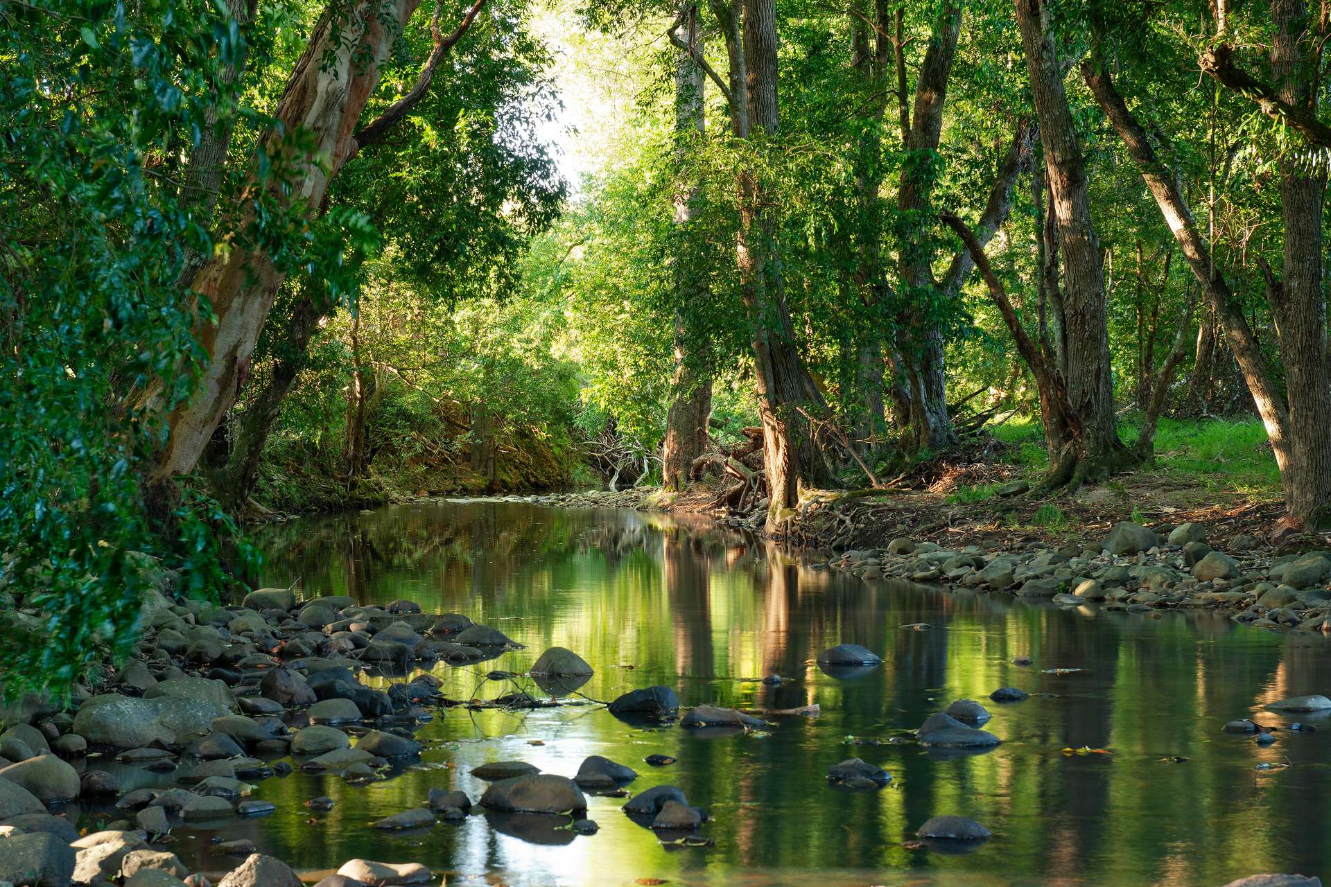 368 Main Creek Road, Dungog Sold by Farmbuy.com - image 31