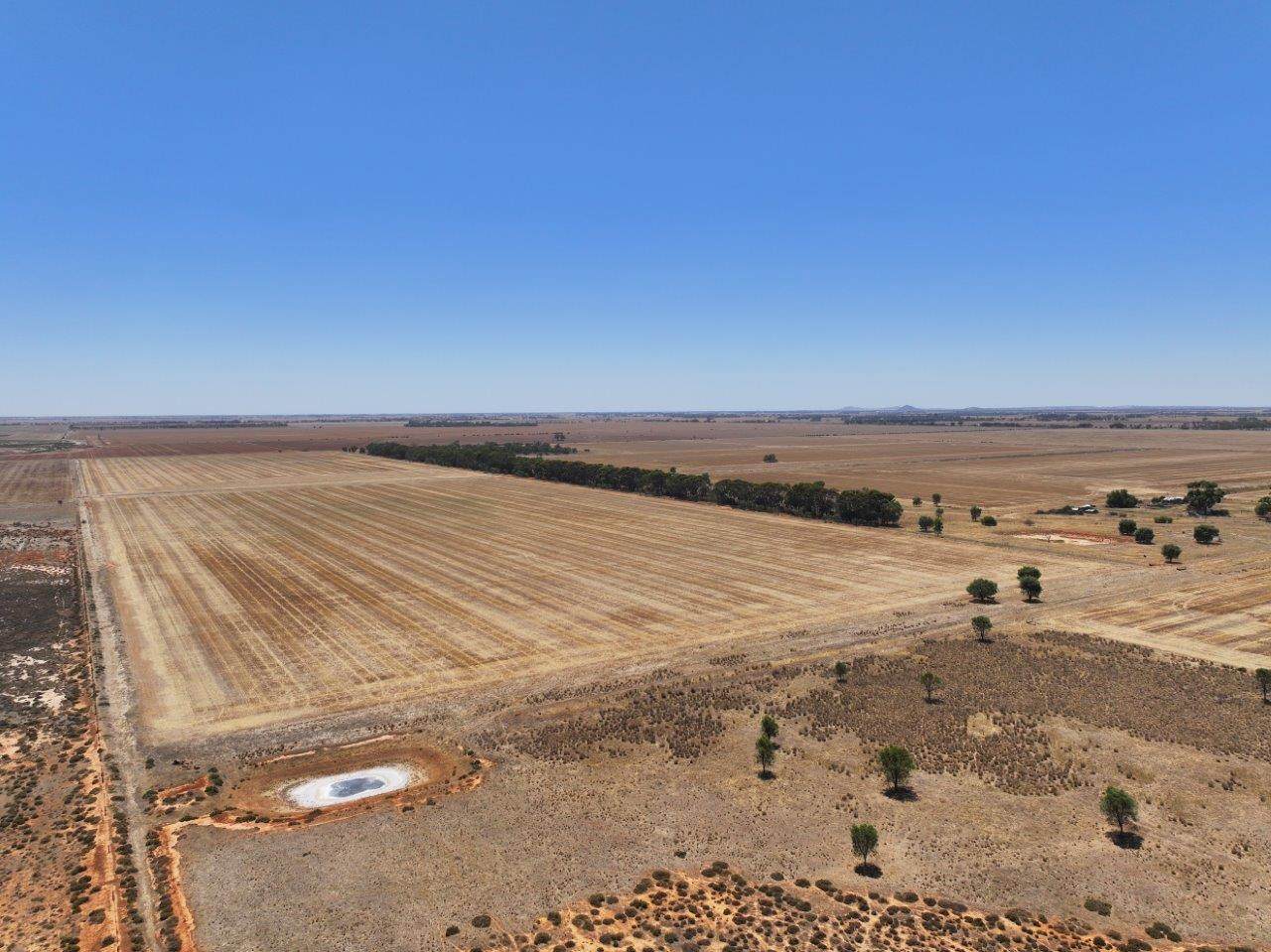 997 Mologa-Durham Ox Road, Yarrawalla Sold by Farmbuy.com - image 22