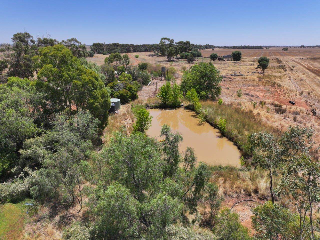 997 Mologa-Durham Ox Road, Yarrawalla Sold by Farmbuy.com - image 3